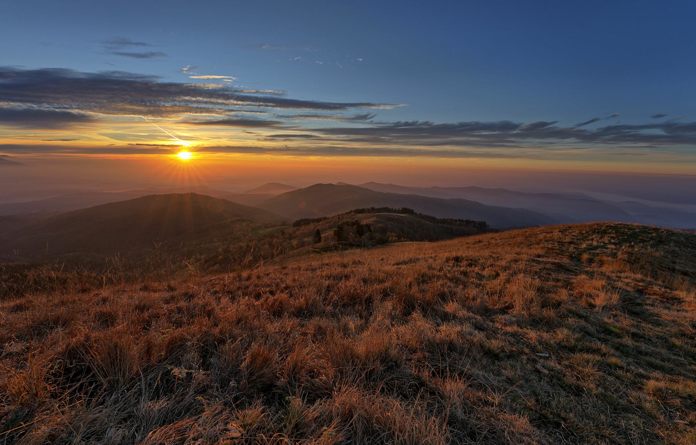 First Rays