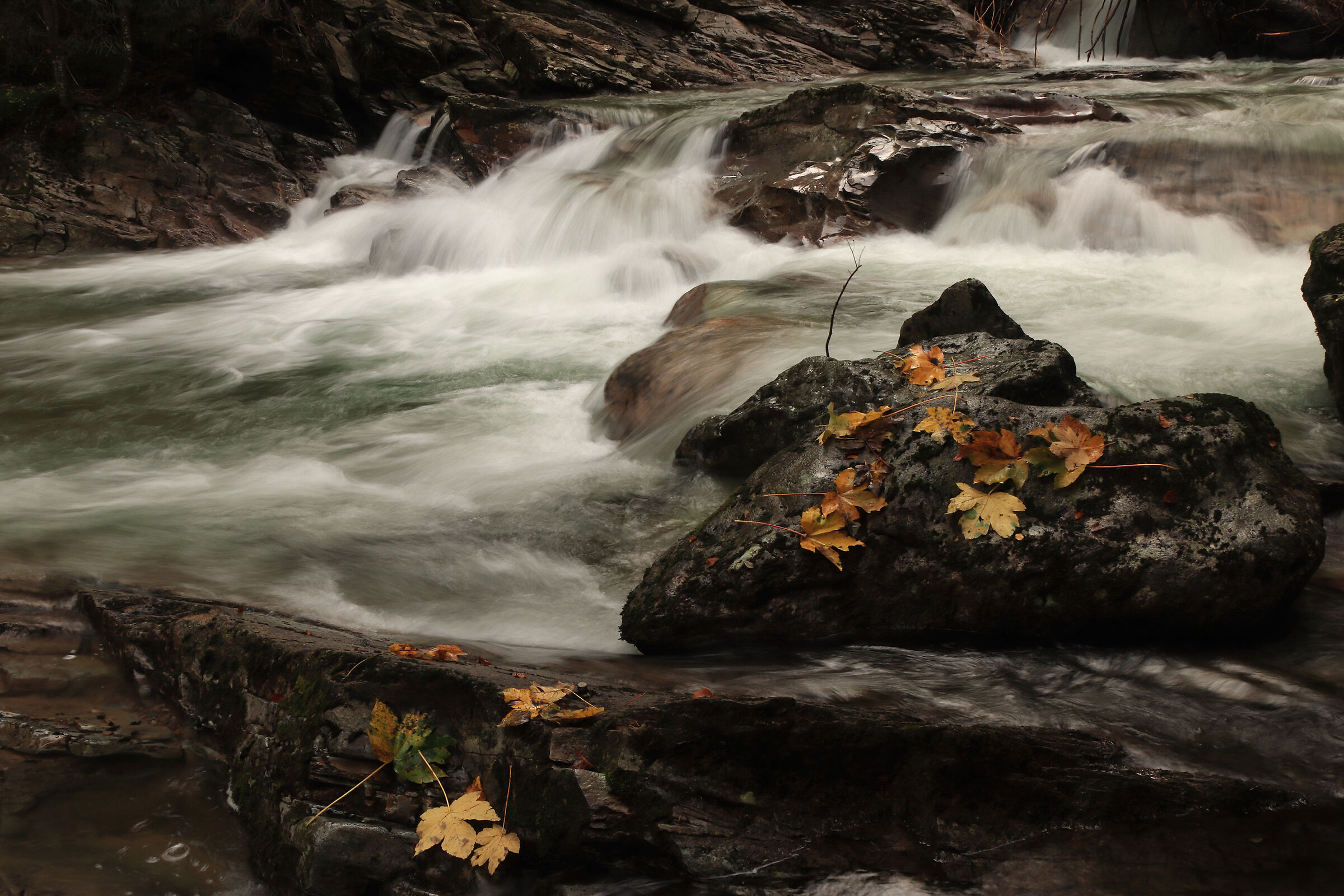 Valsanguigno (verrucano rosso)