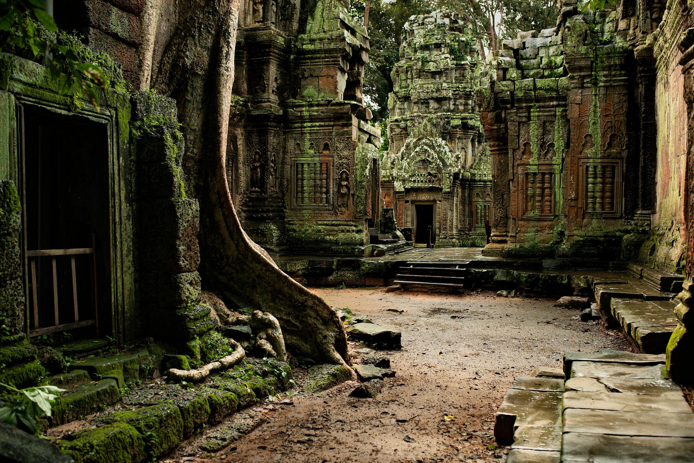 Il tempio di Ta Prohm