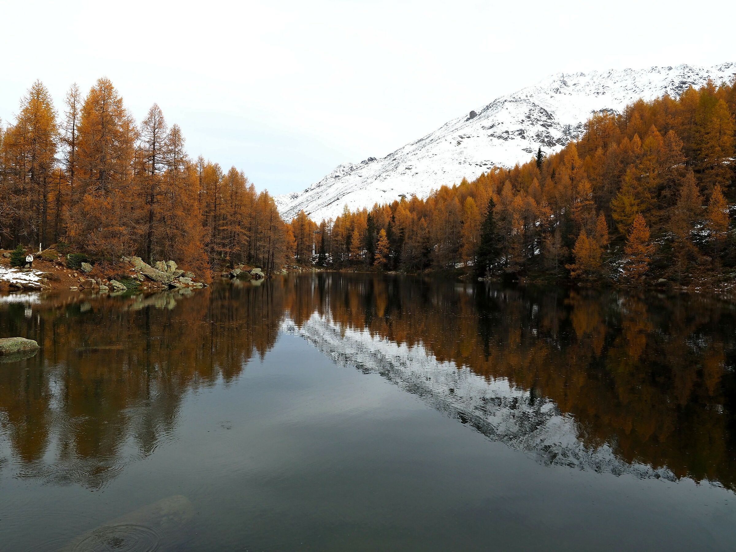 Autumn glimpse on a cloudy day