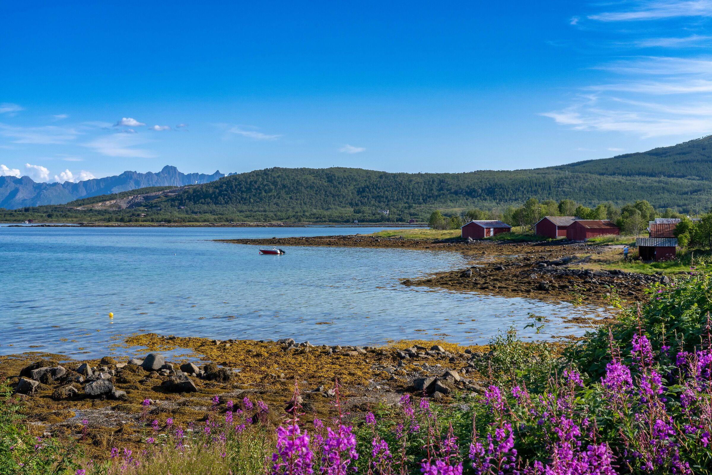 Lofoten