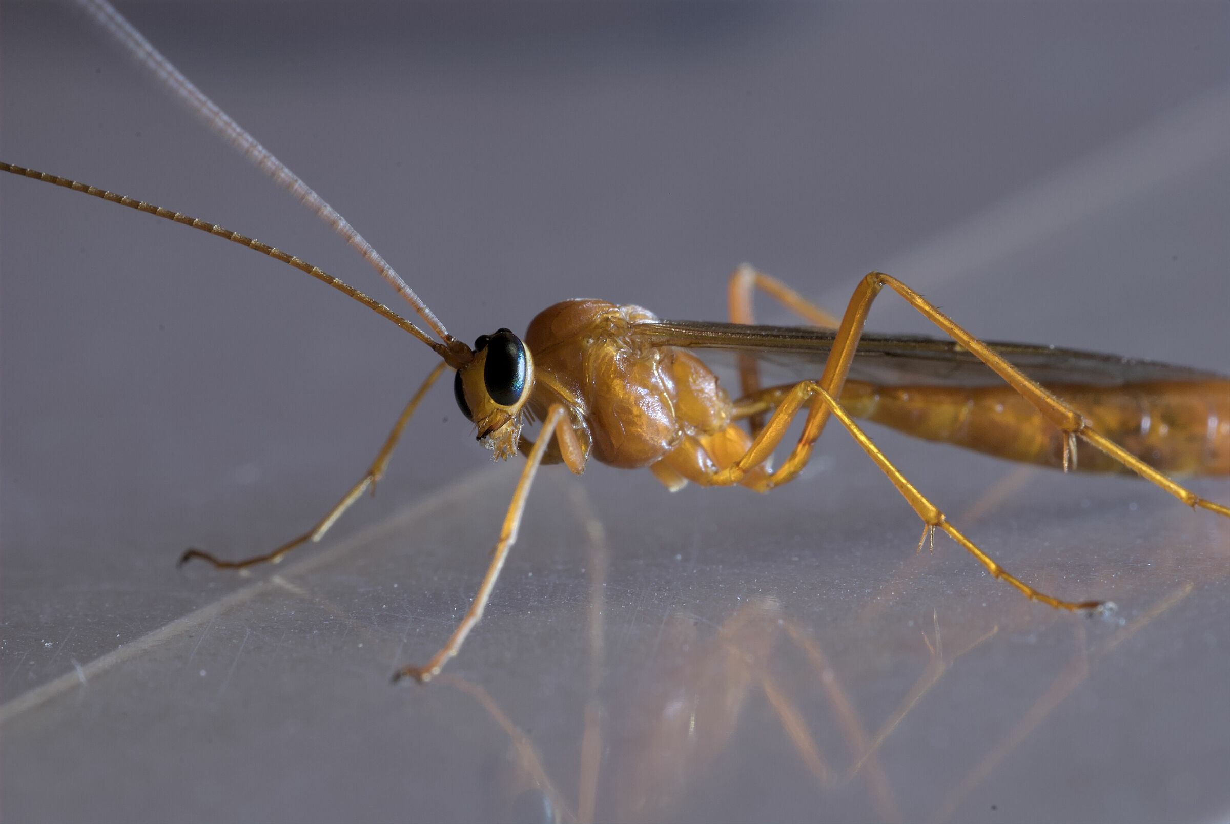 "What's wrong with you?"