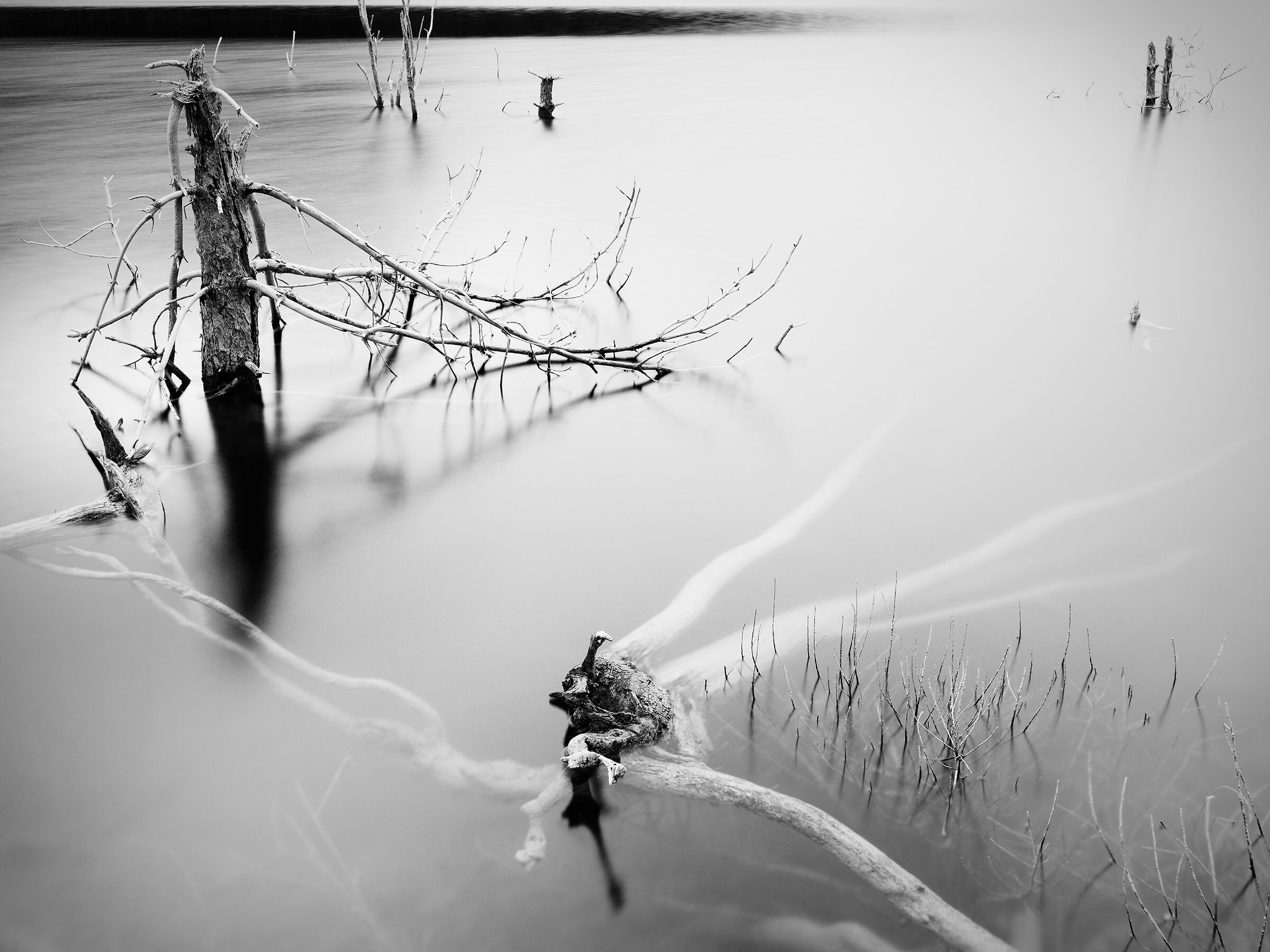 up out of the water.3