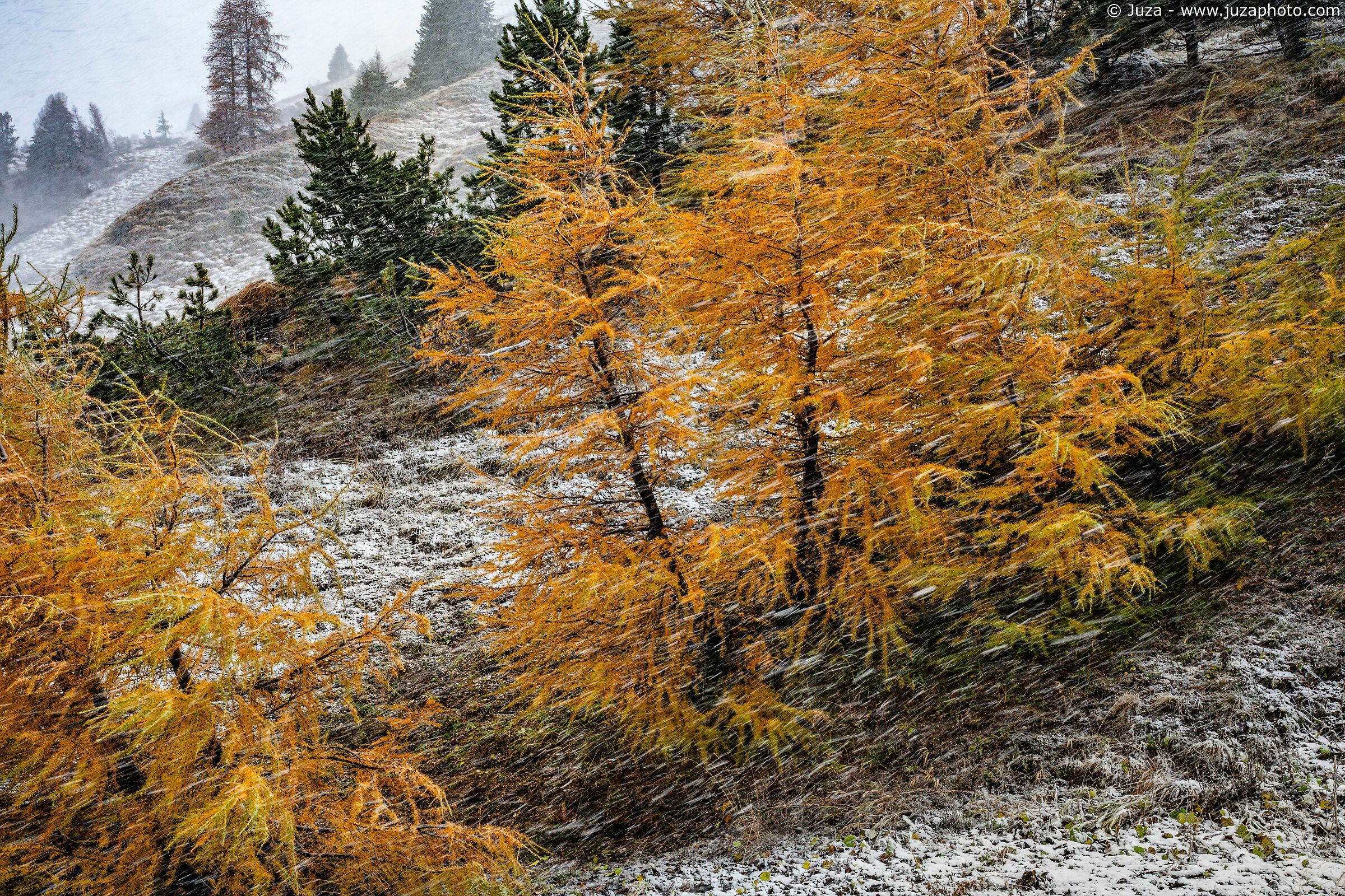Autumn and snow