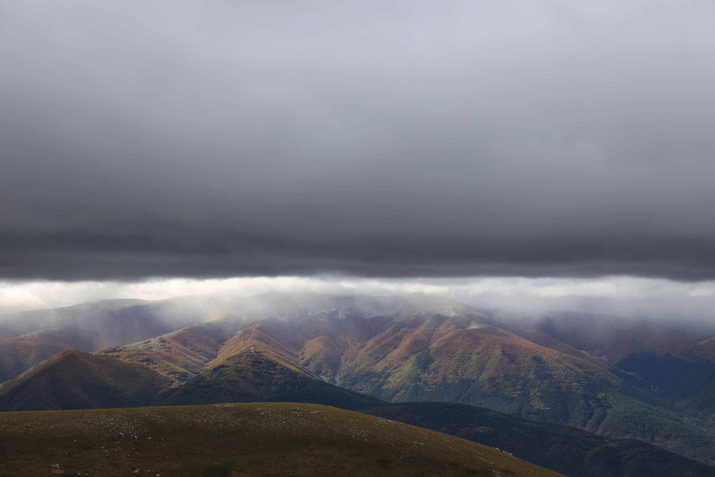 ...Indipendence Day?