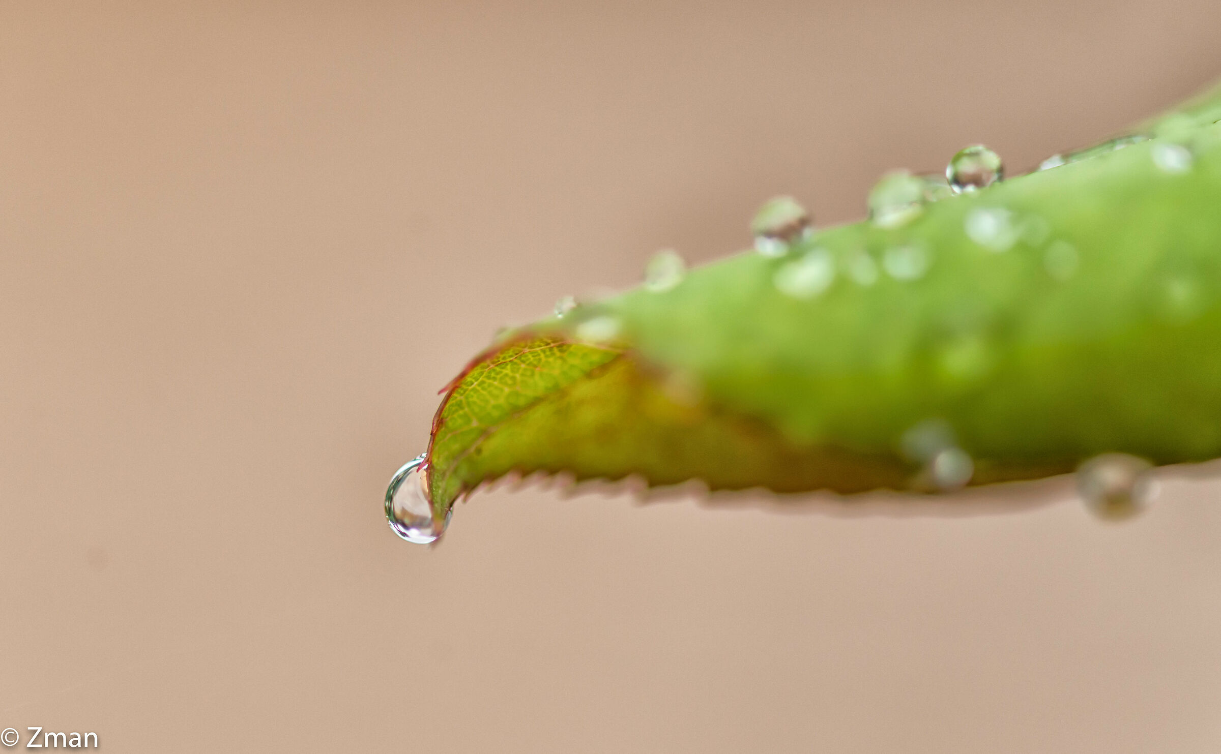 Droplet of Water