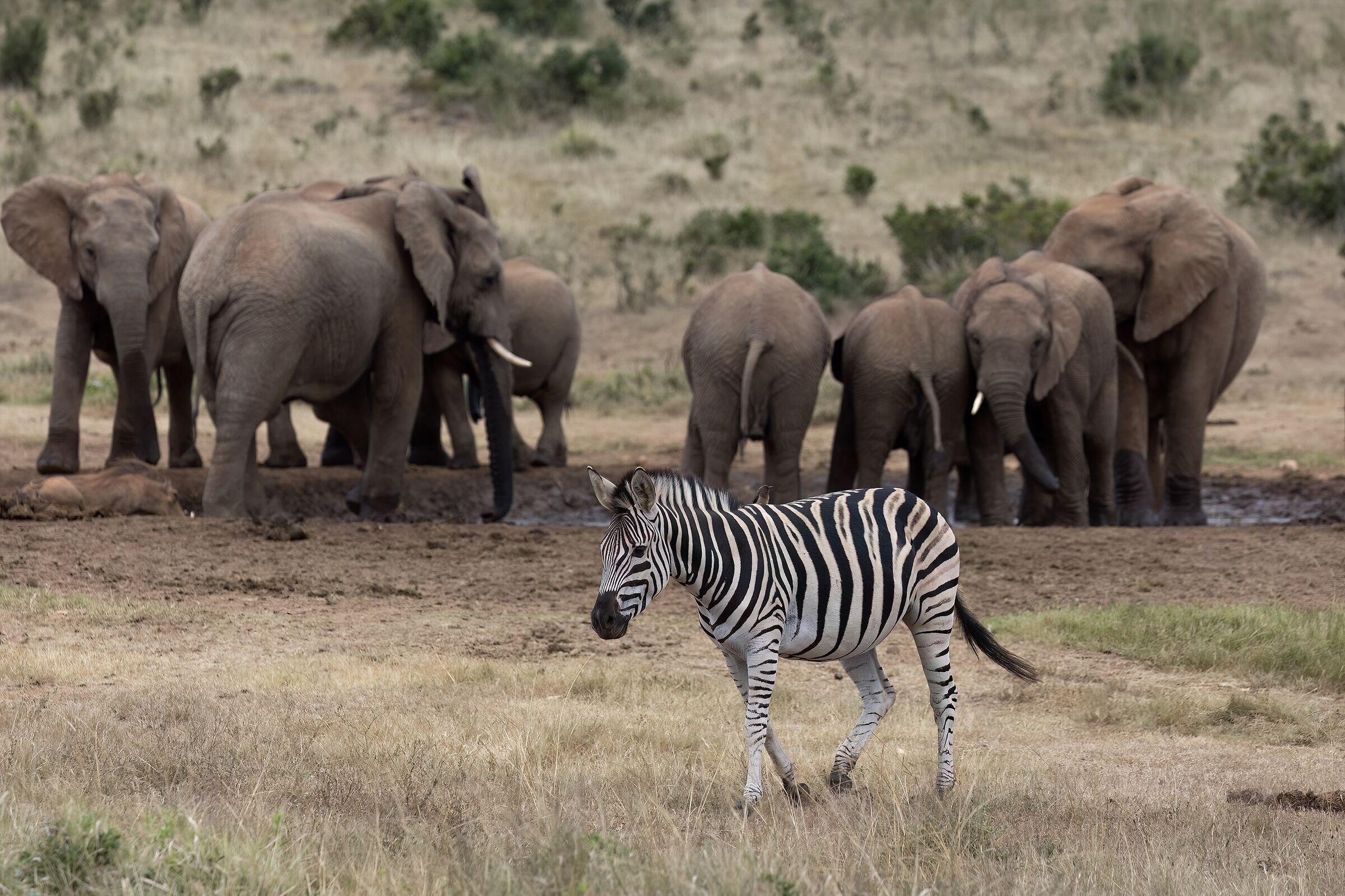 I'll come back later...