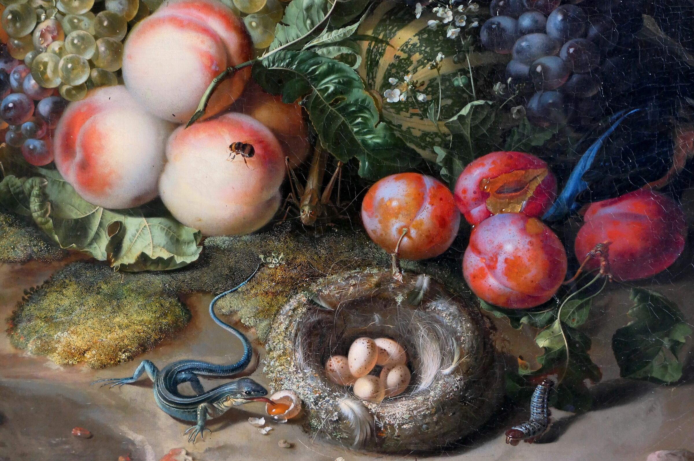 Rachel Ruysch "Frutta, fiori,insetti (1716)