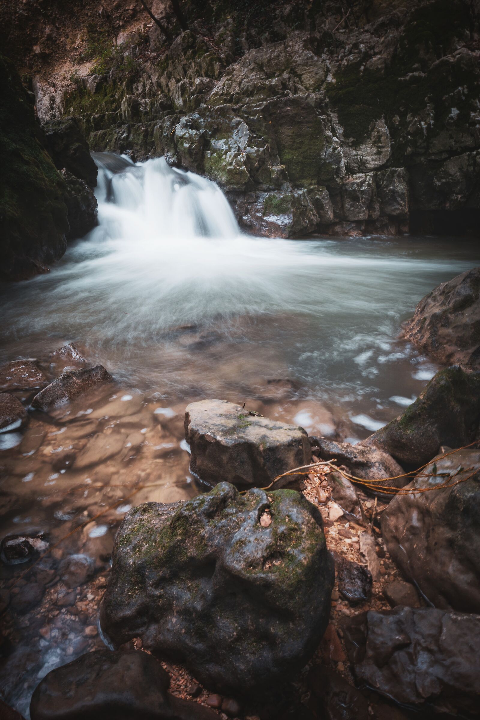 Untitled Photo
