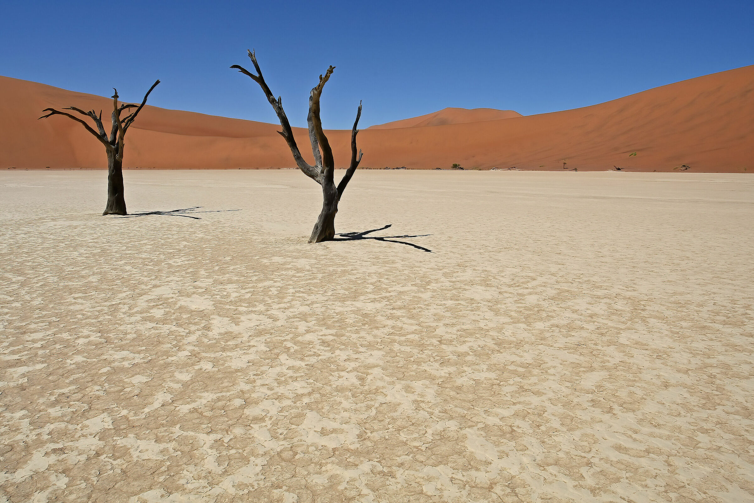 Deadvlei