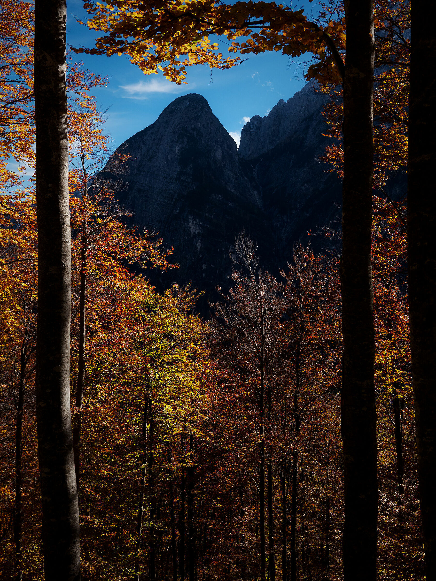 Scorcio d'autunno in Val Saisera - Alpi Giulie