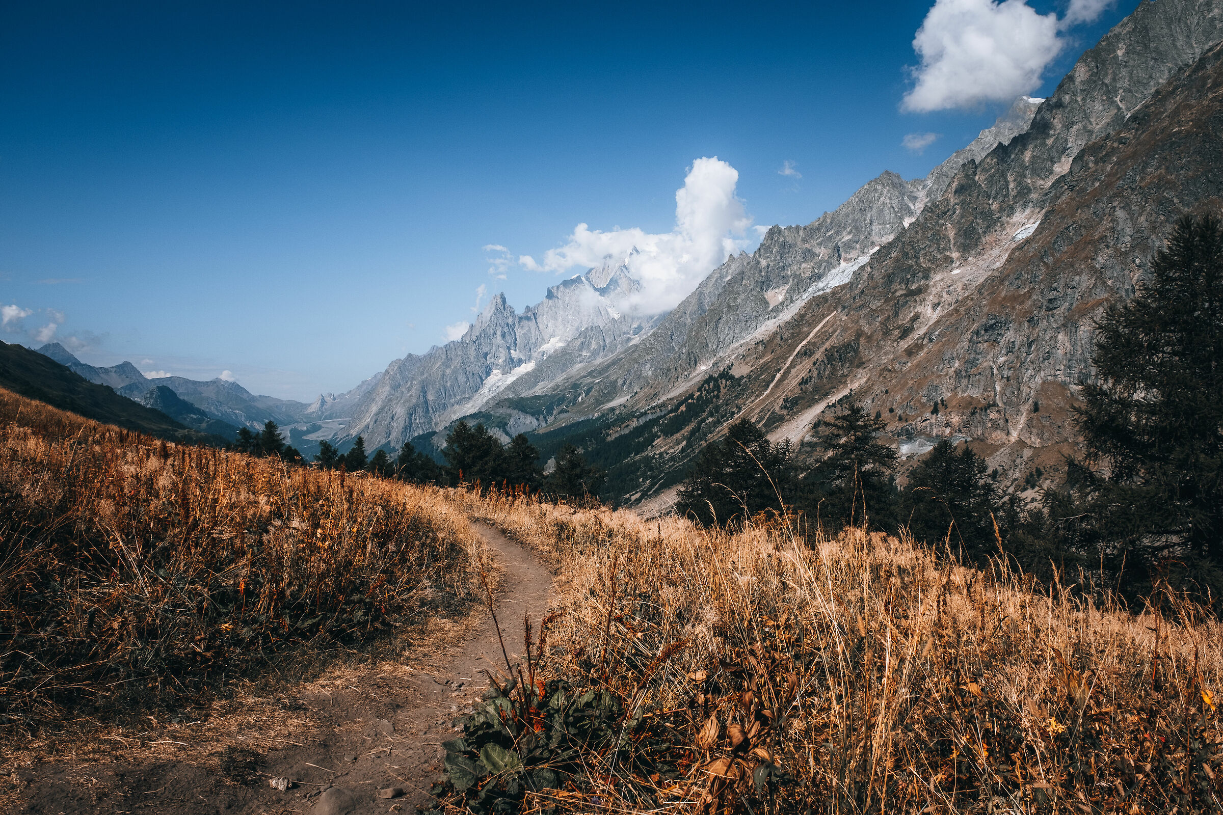 Belvedere Monte Bianco