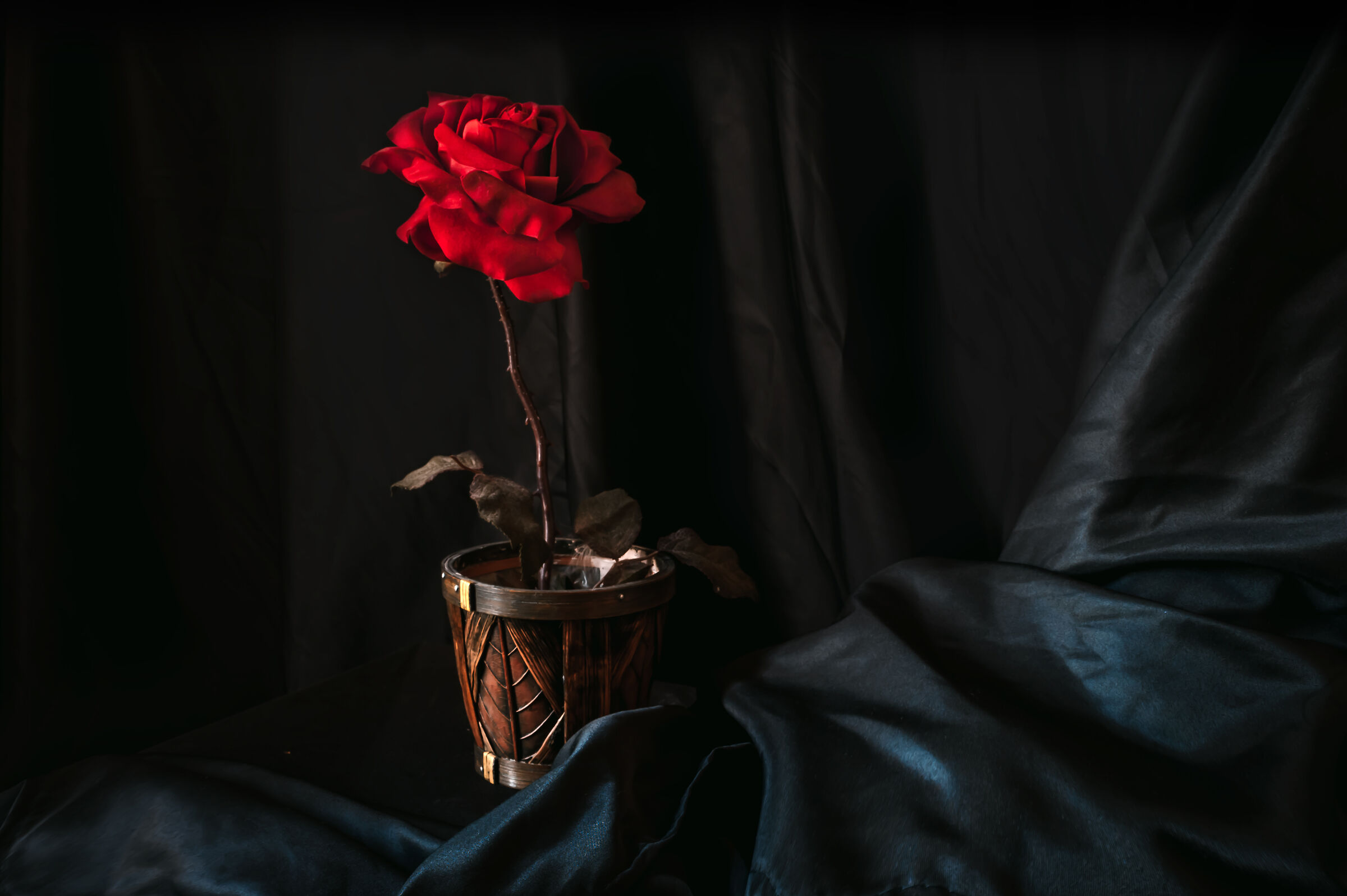 I'll give you a rose