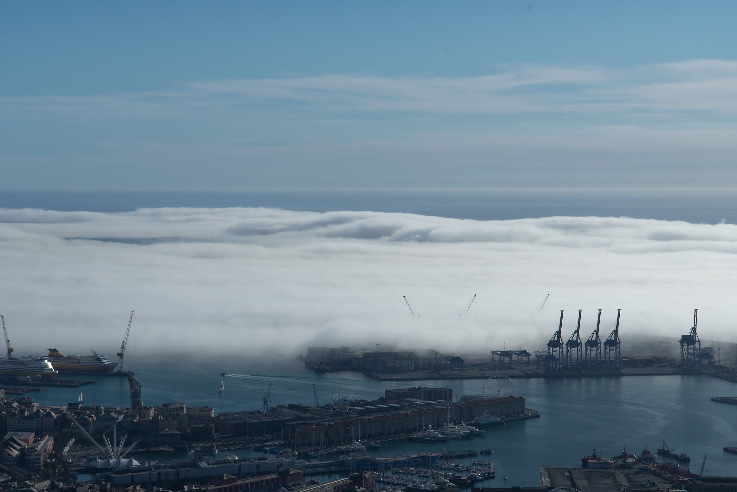 Caligo all'orizzonte