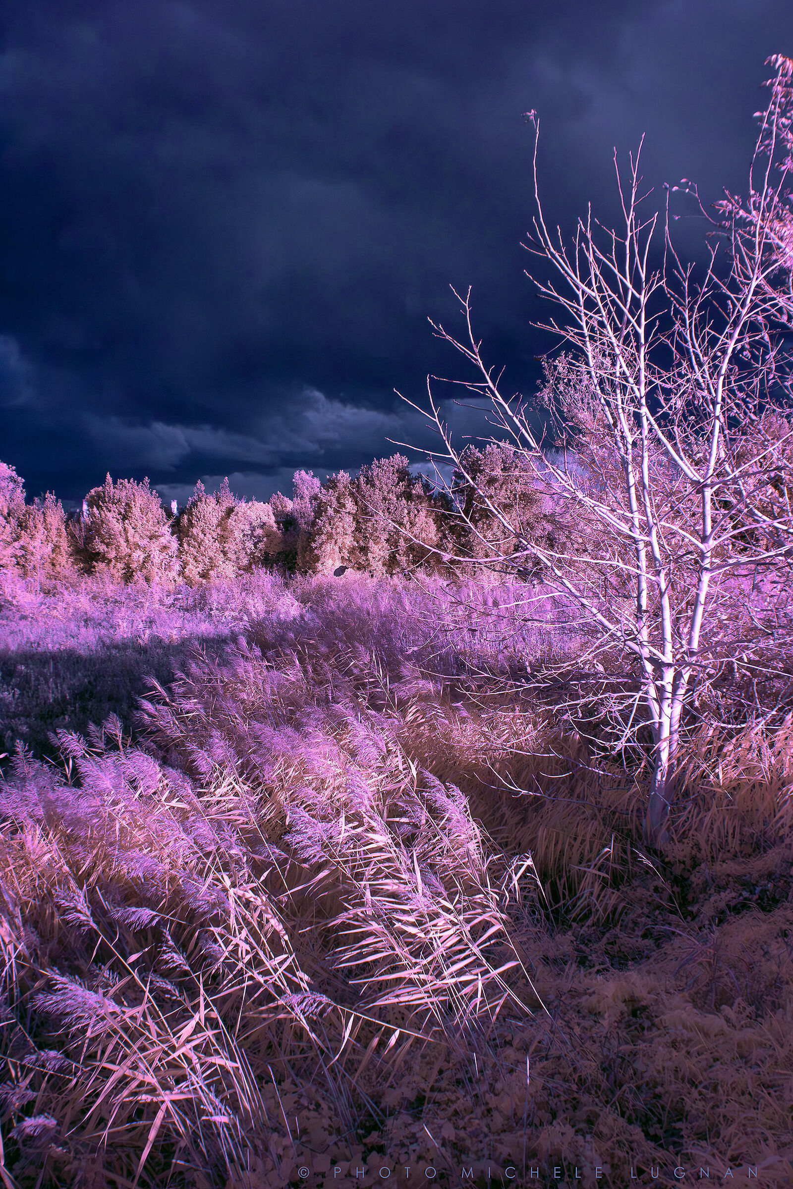 Infrared 590 nanometers