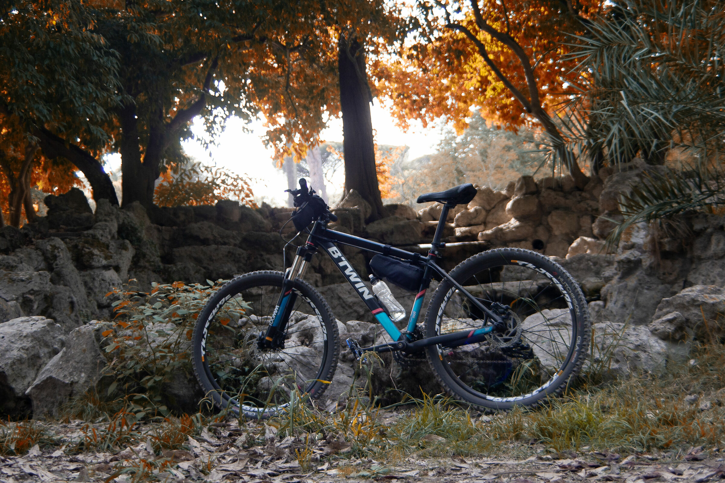 autunno a villa pamhili