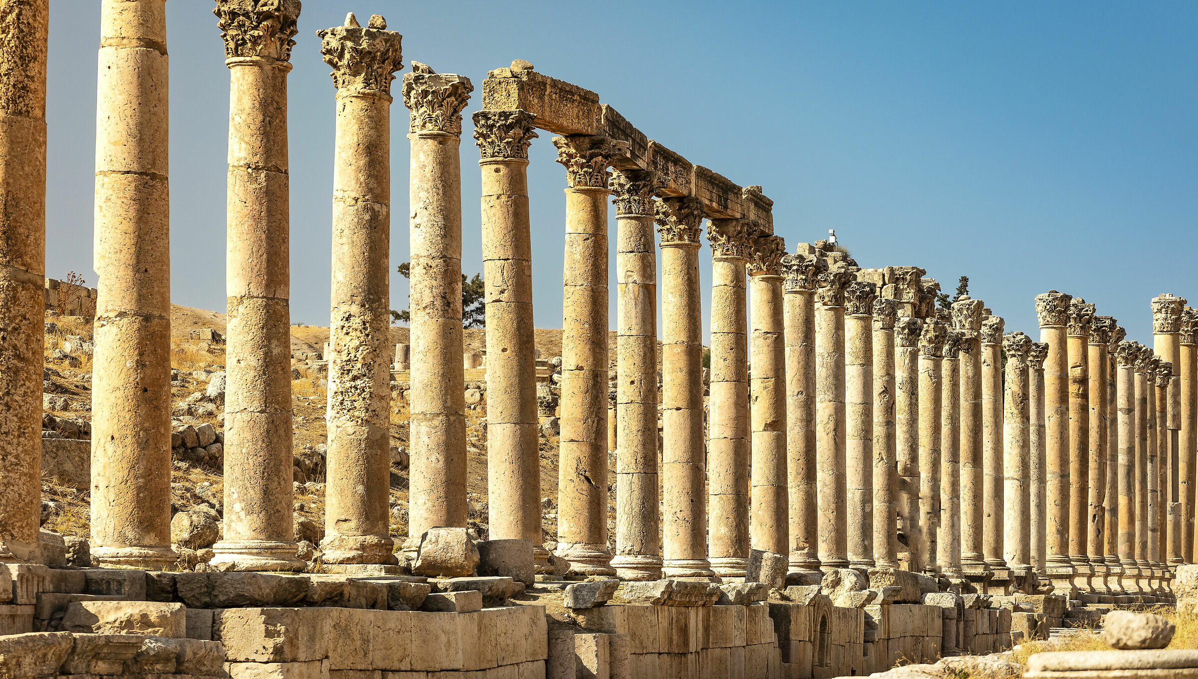 City of a Thousand Columns