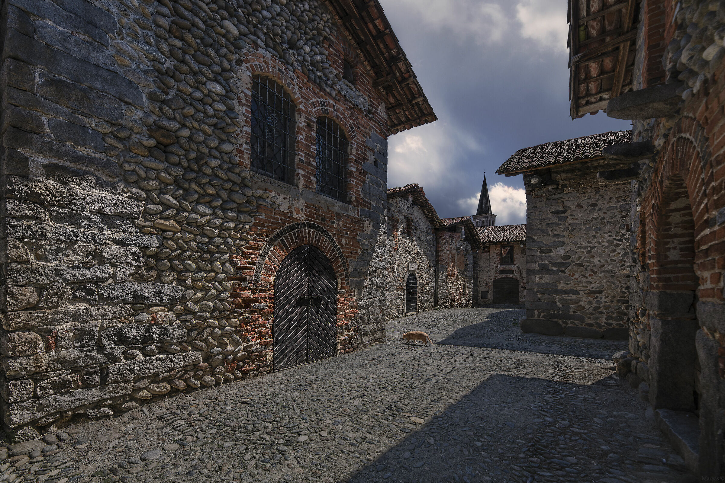 The ricetto with the kitten