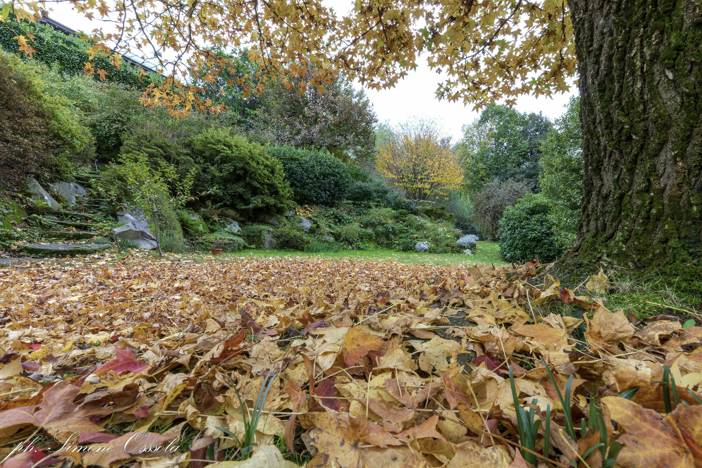 I colori dell'autunno 2023