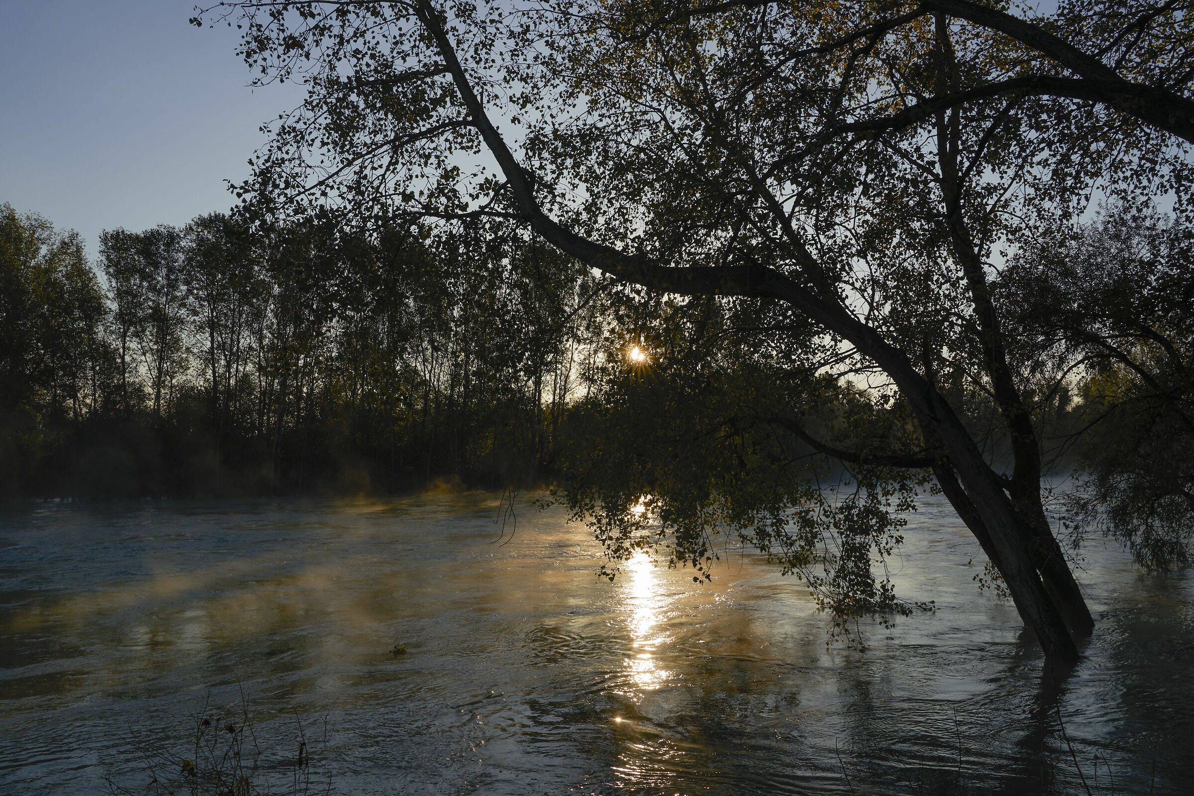 The flood of the Adda 2