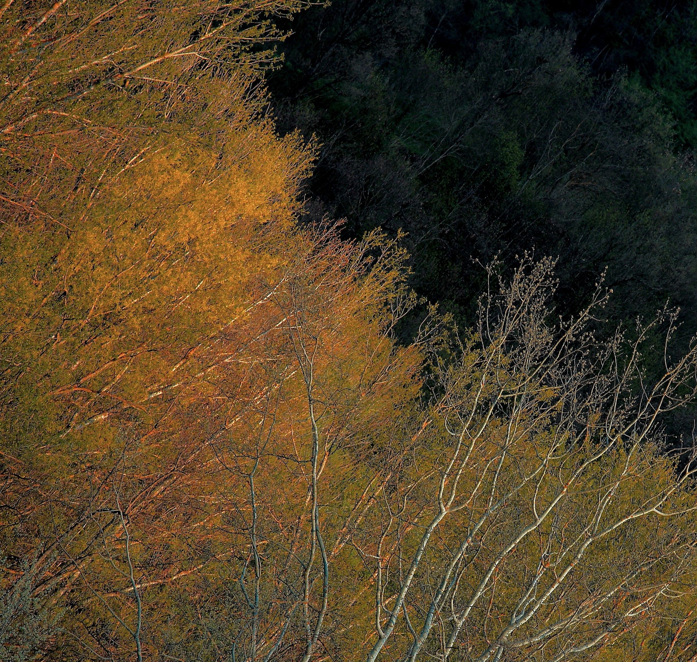 Campagna di Brugnello 5