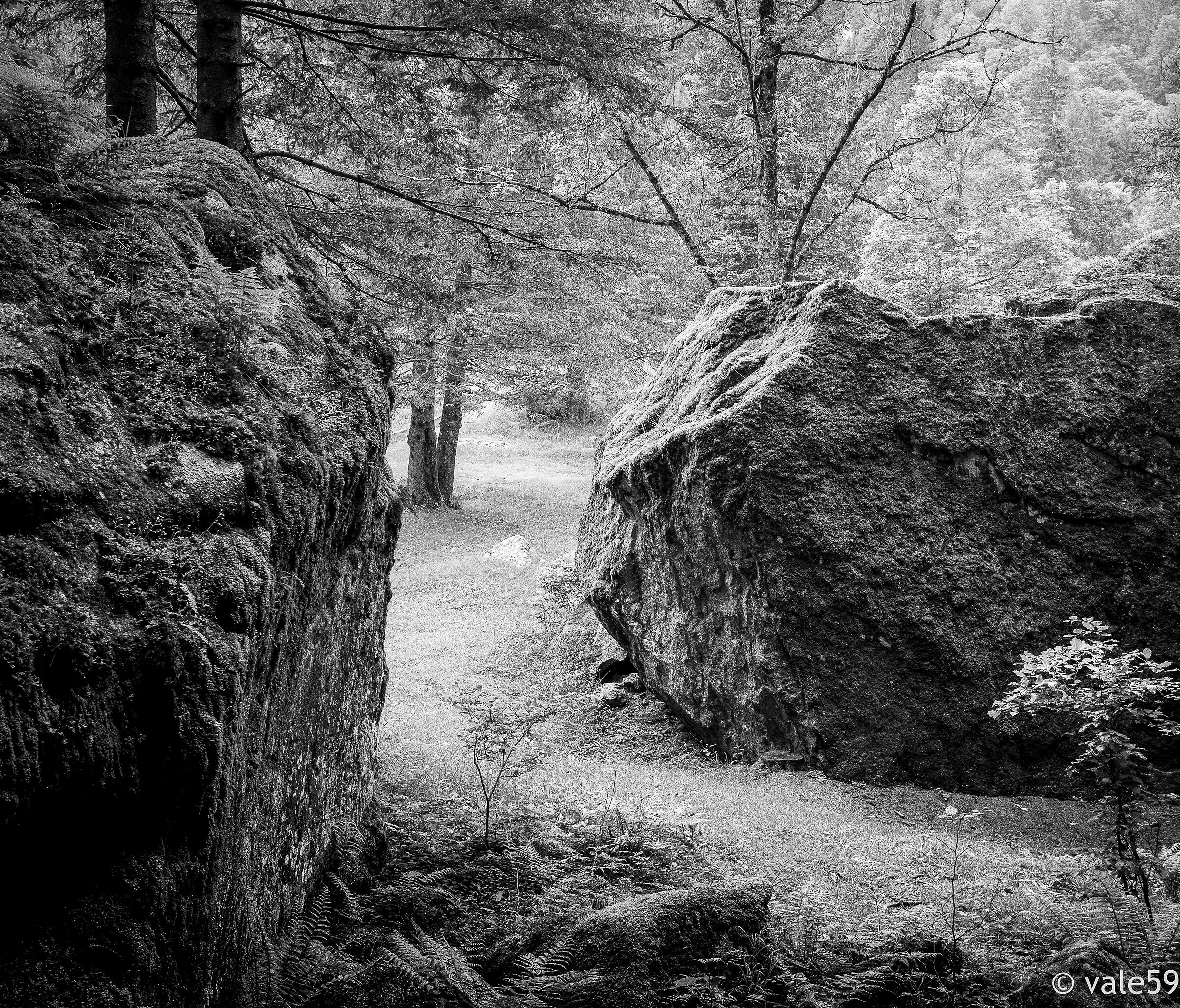 Foresta dei Bagni di Masino