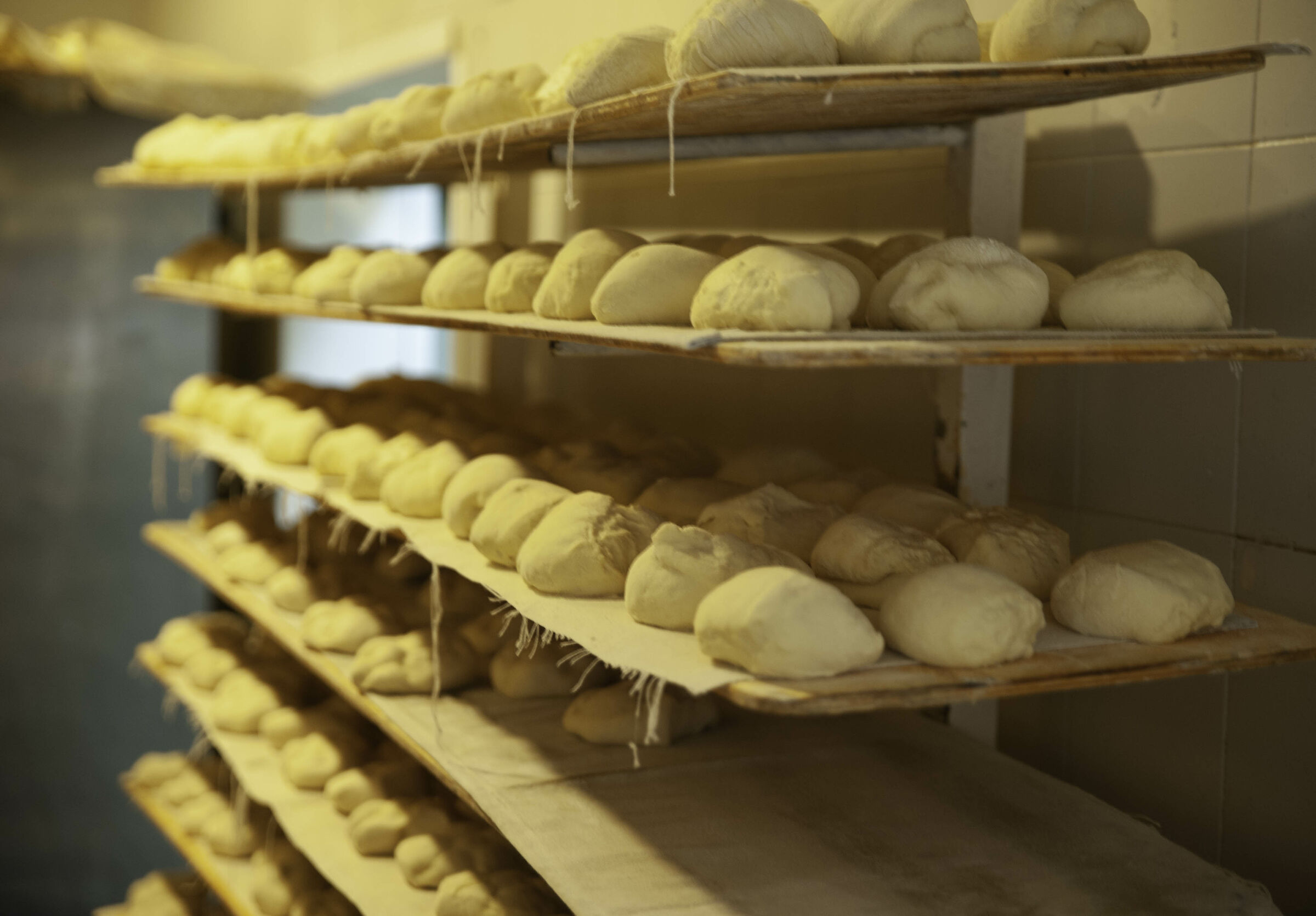 Dacci oggi il nostro pane quotidiano