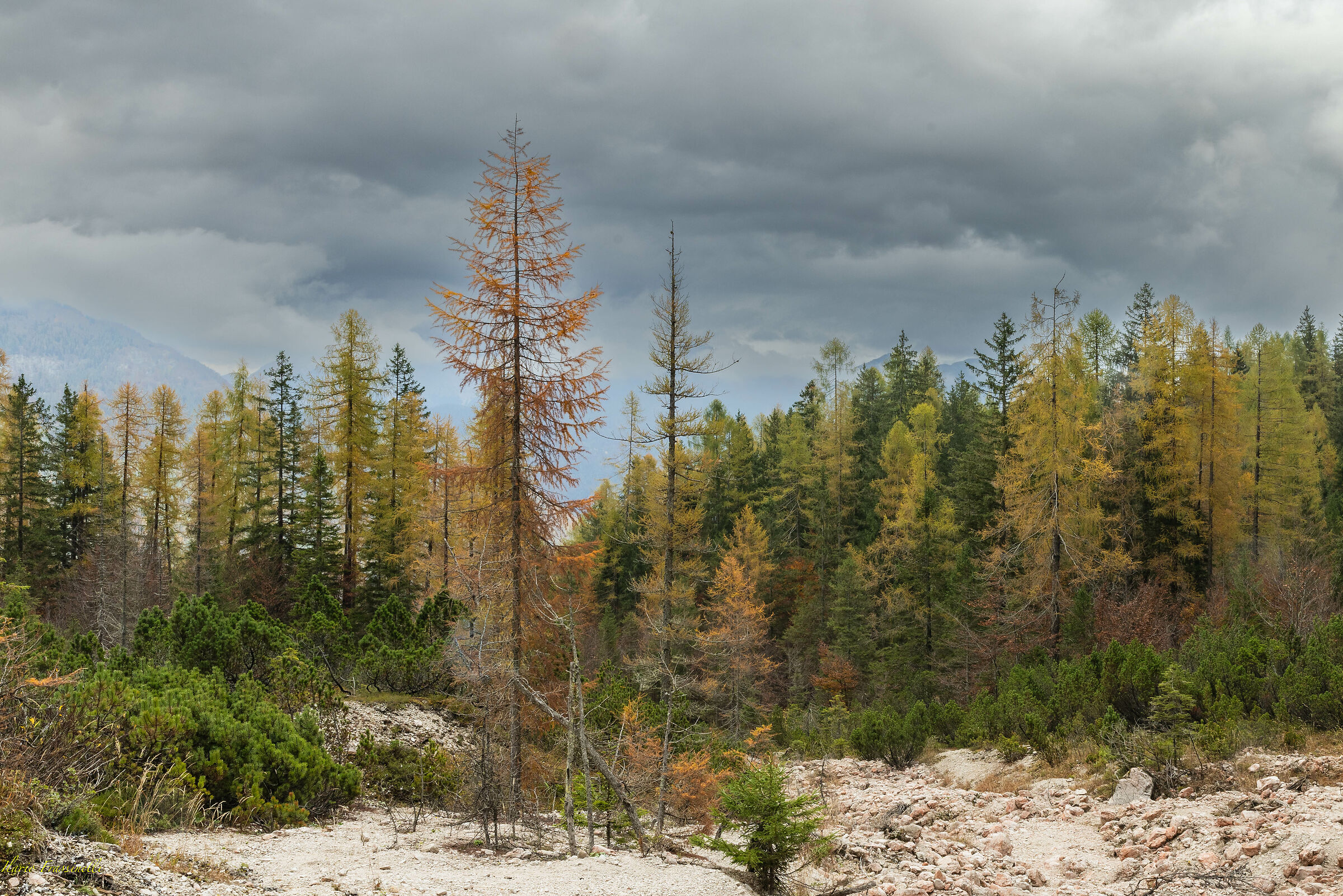 Colori d'autunno-Conca dei Vach