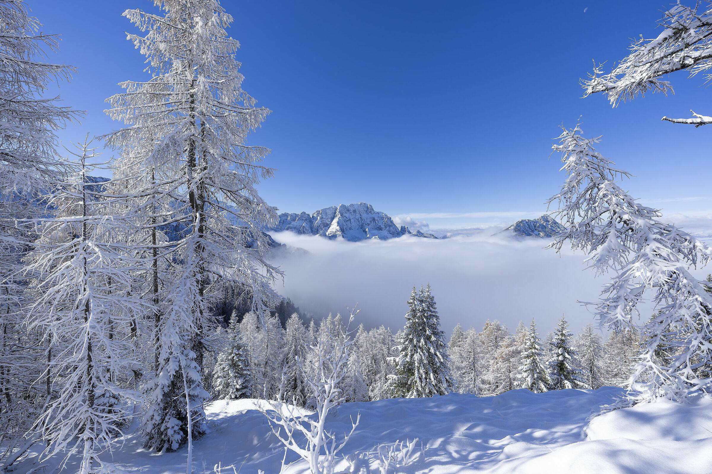 First snowfall at medium altitudes, let's hope for good omen...