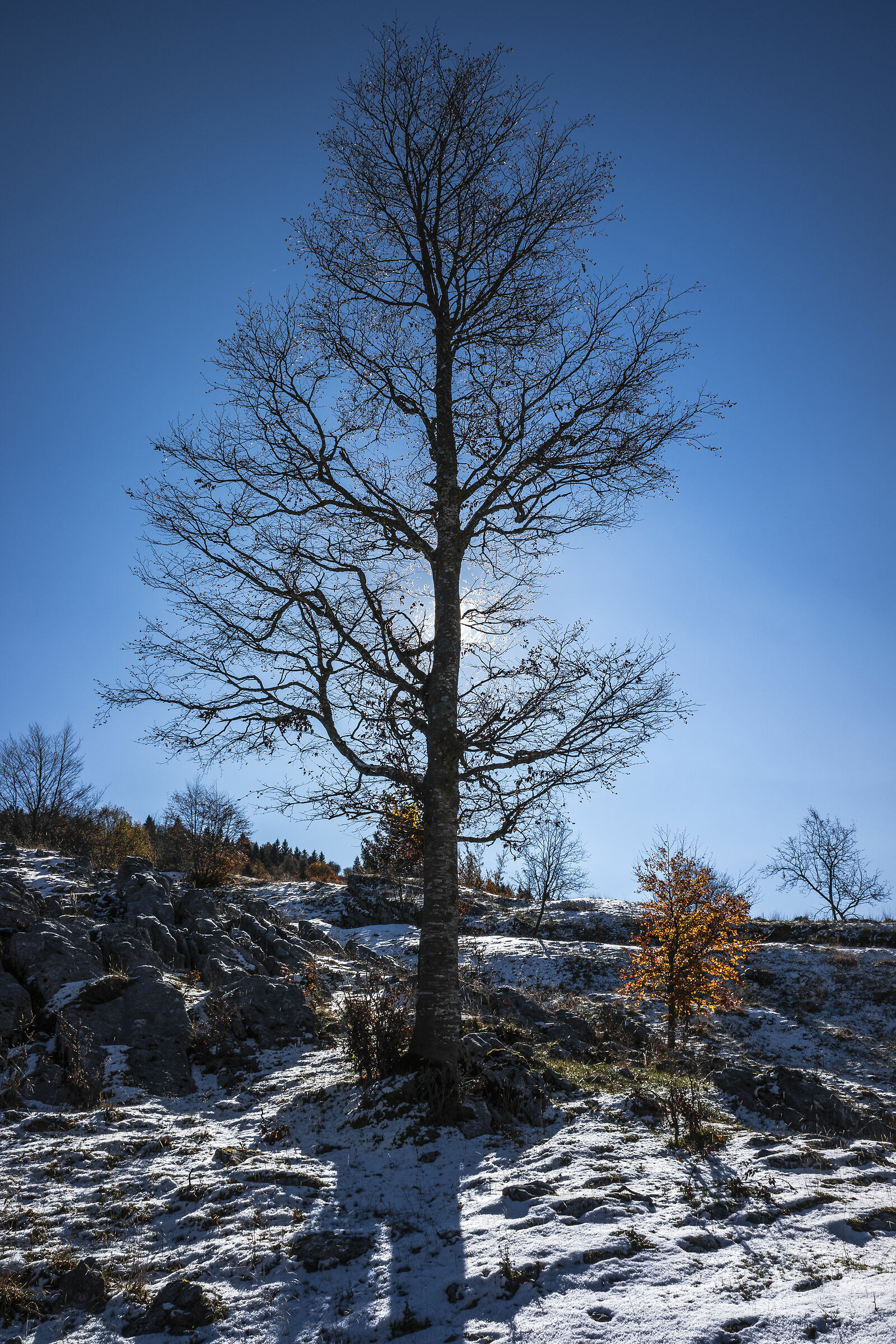 Passing of the baton