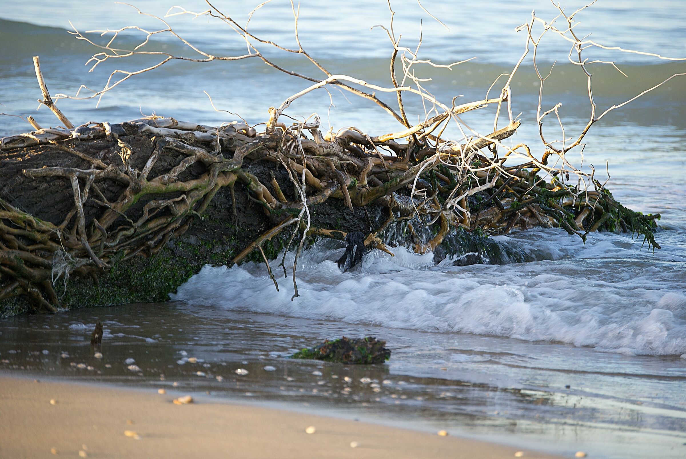 There is always life after death