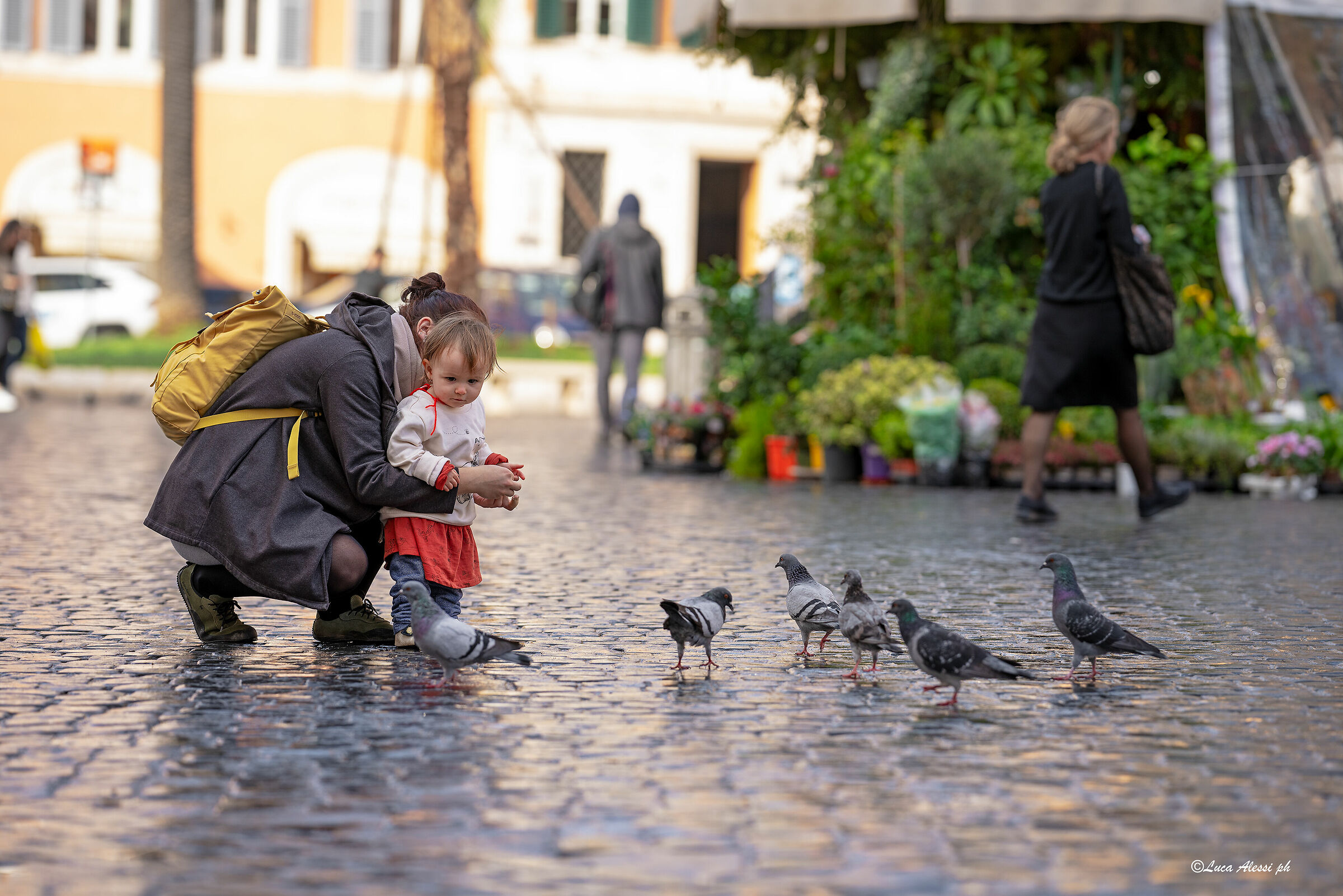 La bimba e i piccioni