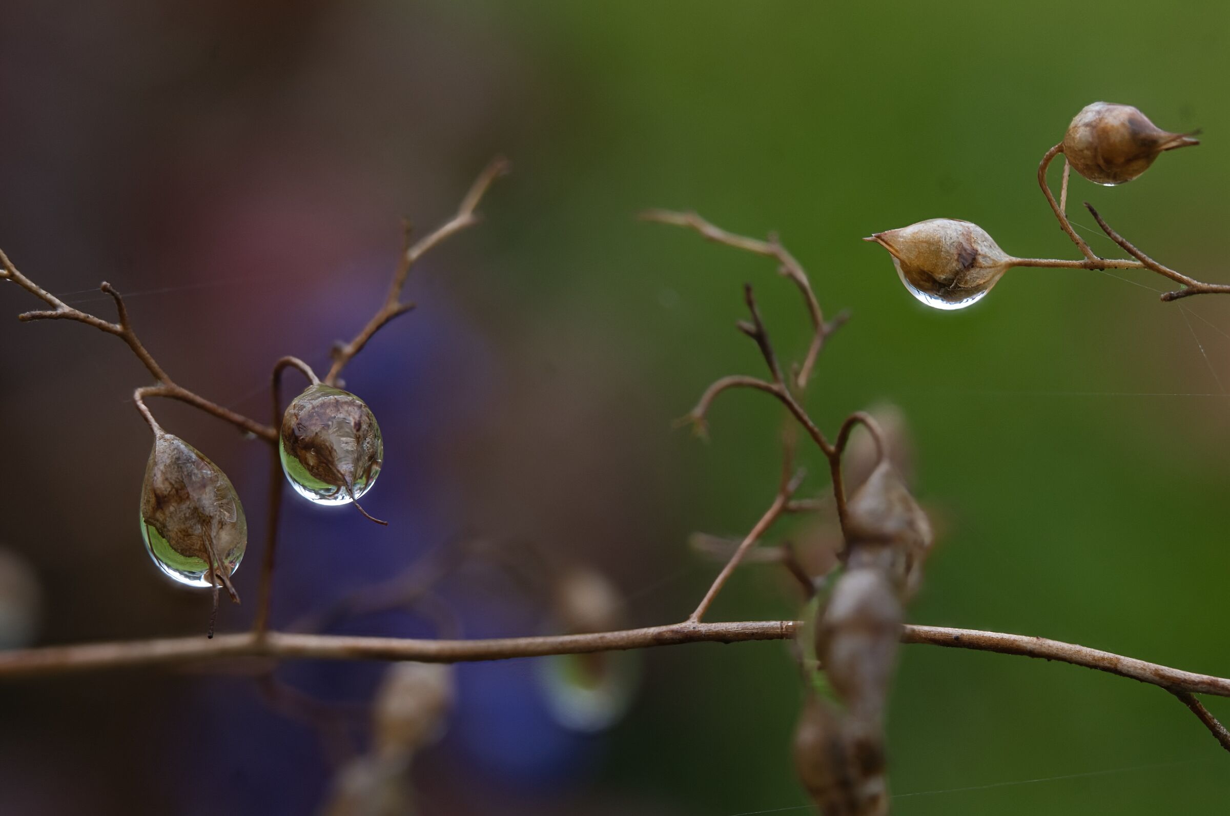 Untitled Photo