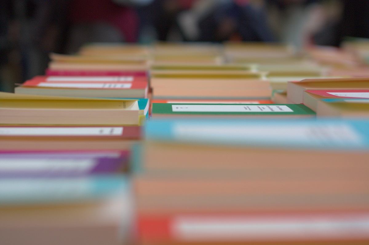 Salone del libro 2013