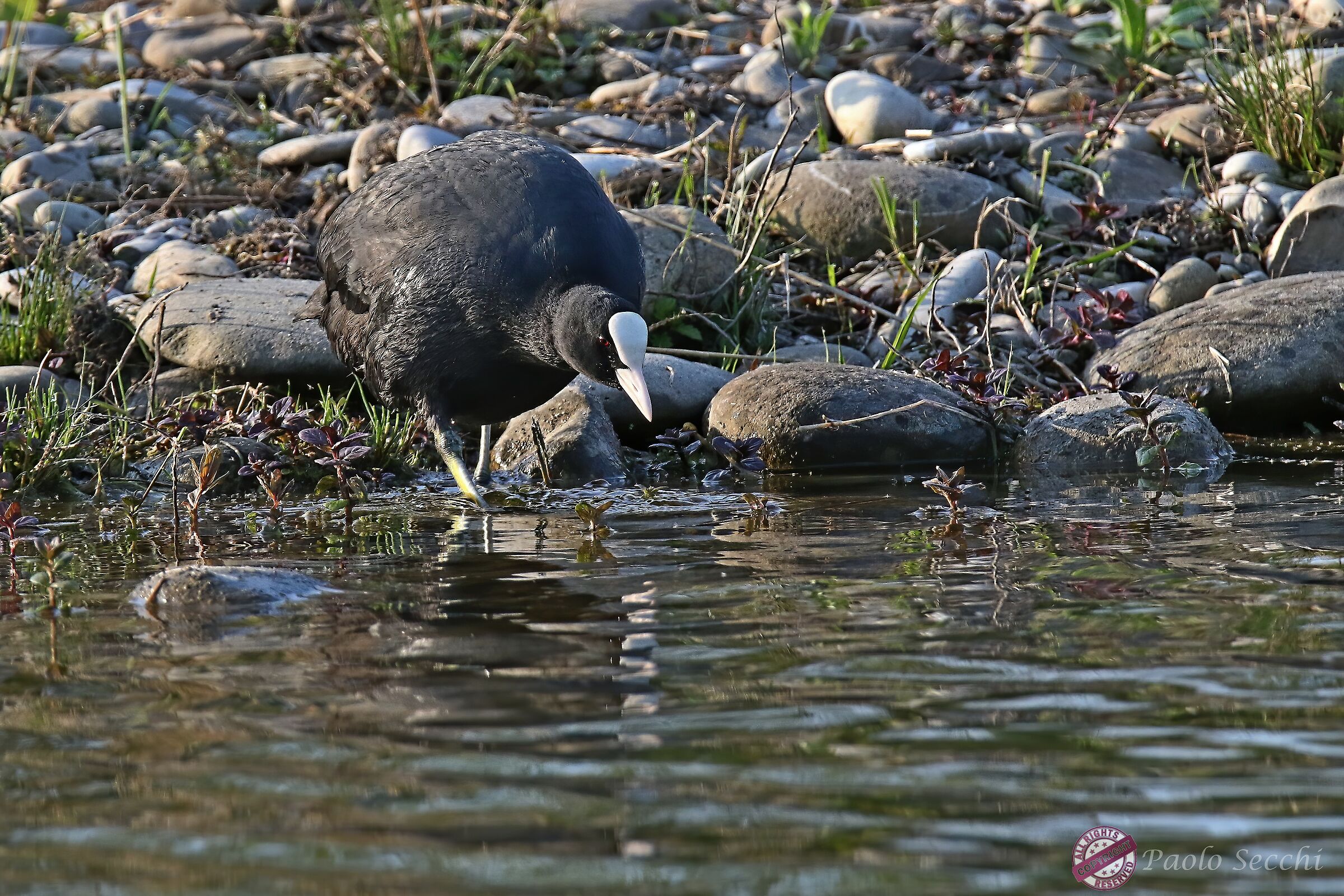 Discovering the submerged