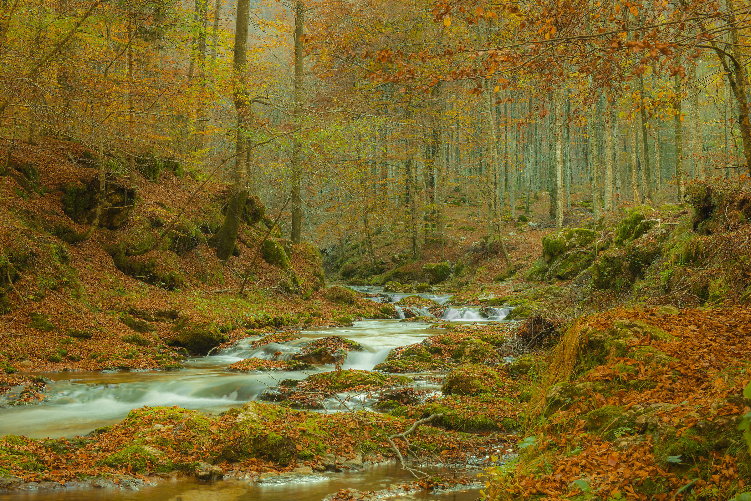 Autumn in Arzino