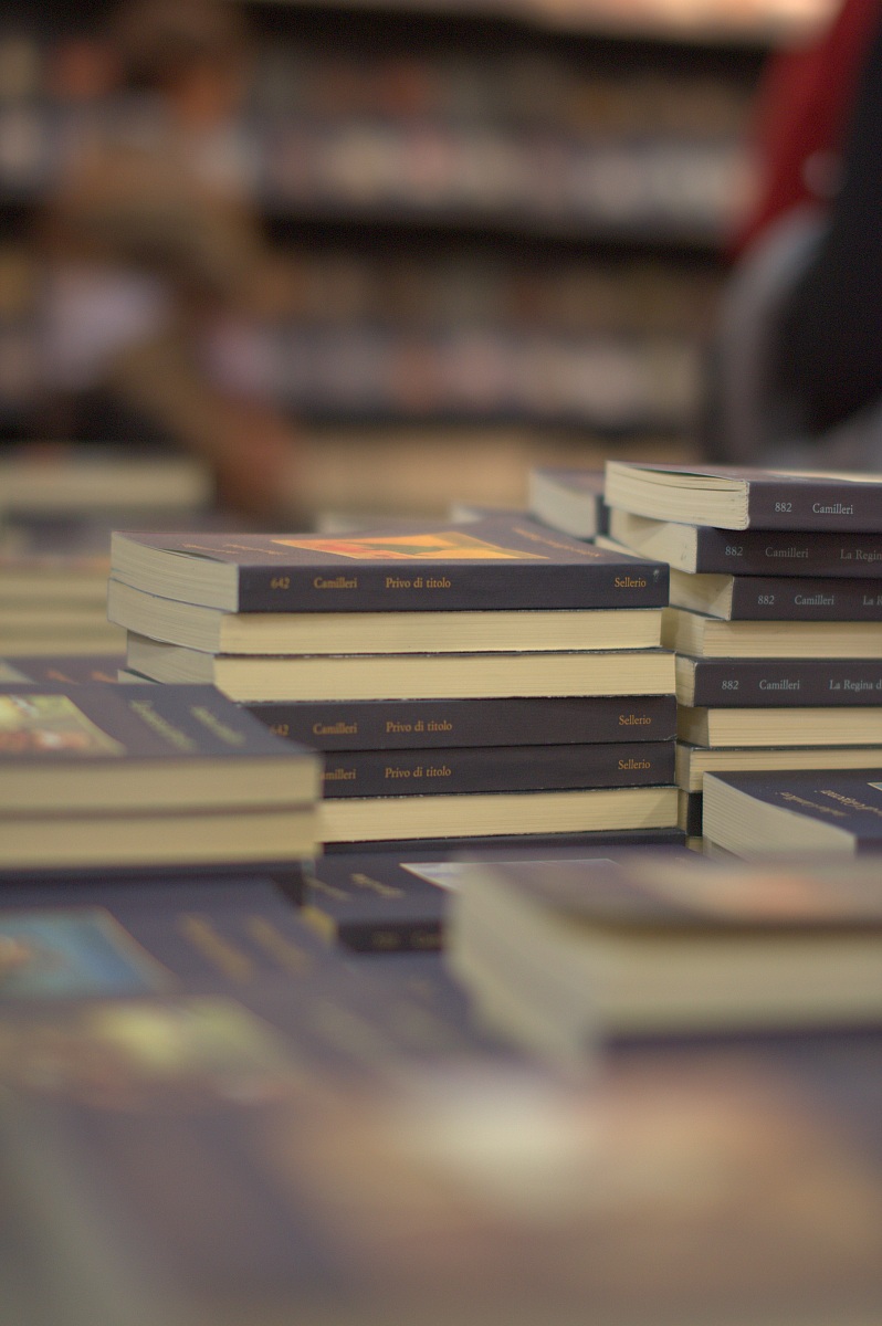 Salone del libro 2013