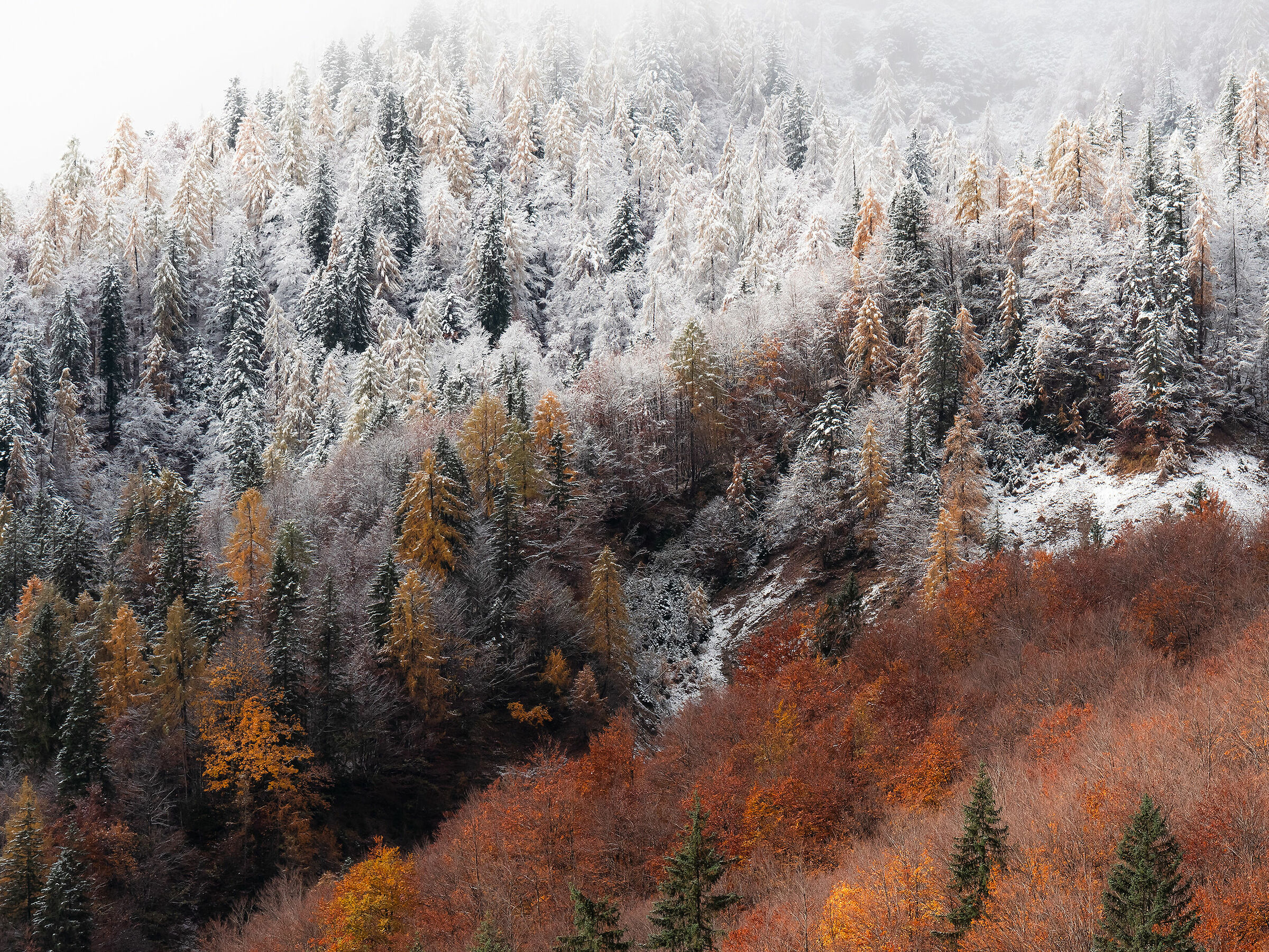 Sfumando verso l'inverno - Alpi Giulie