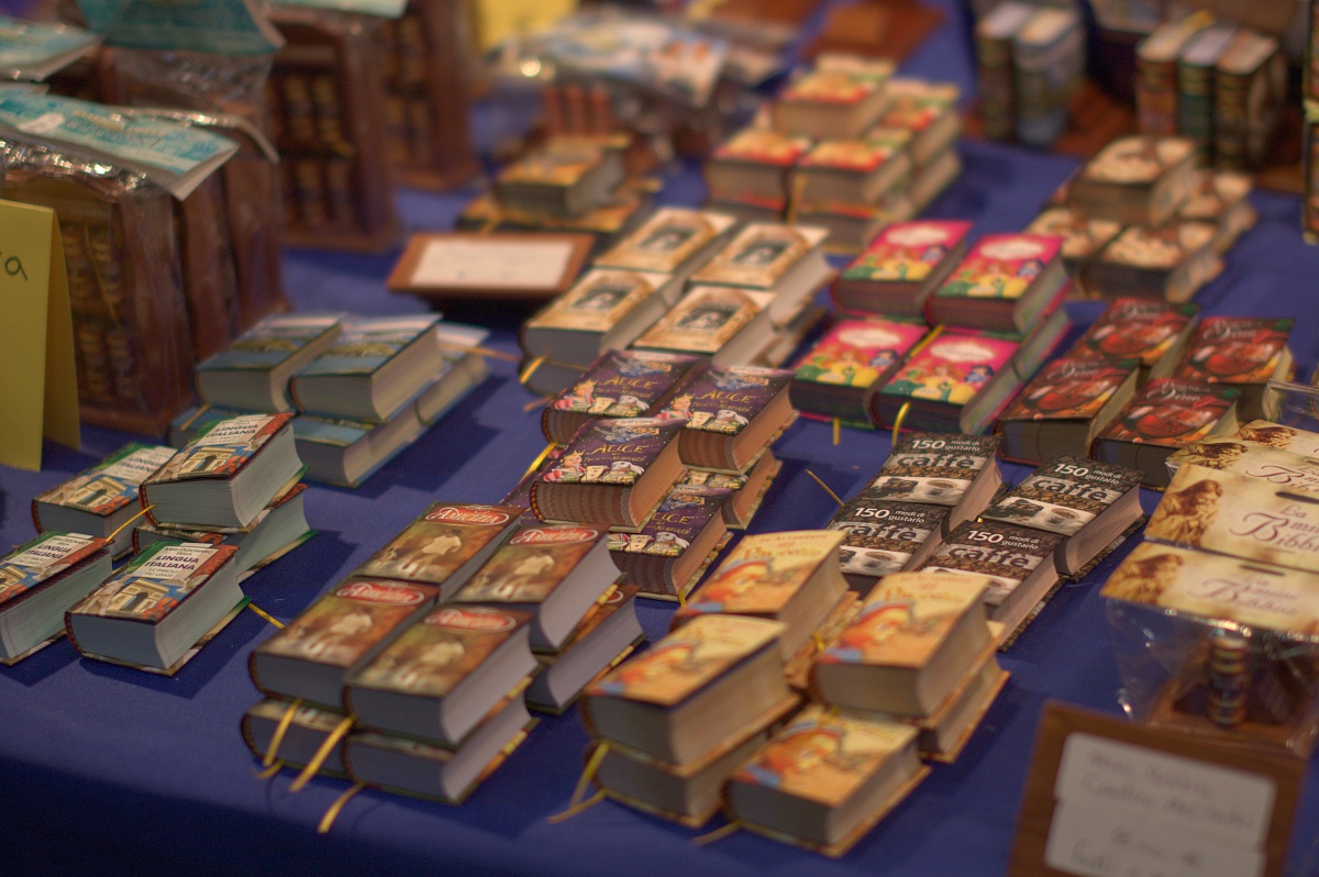 Salone del libro 2013