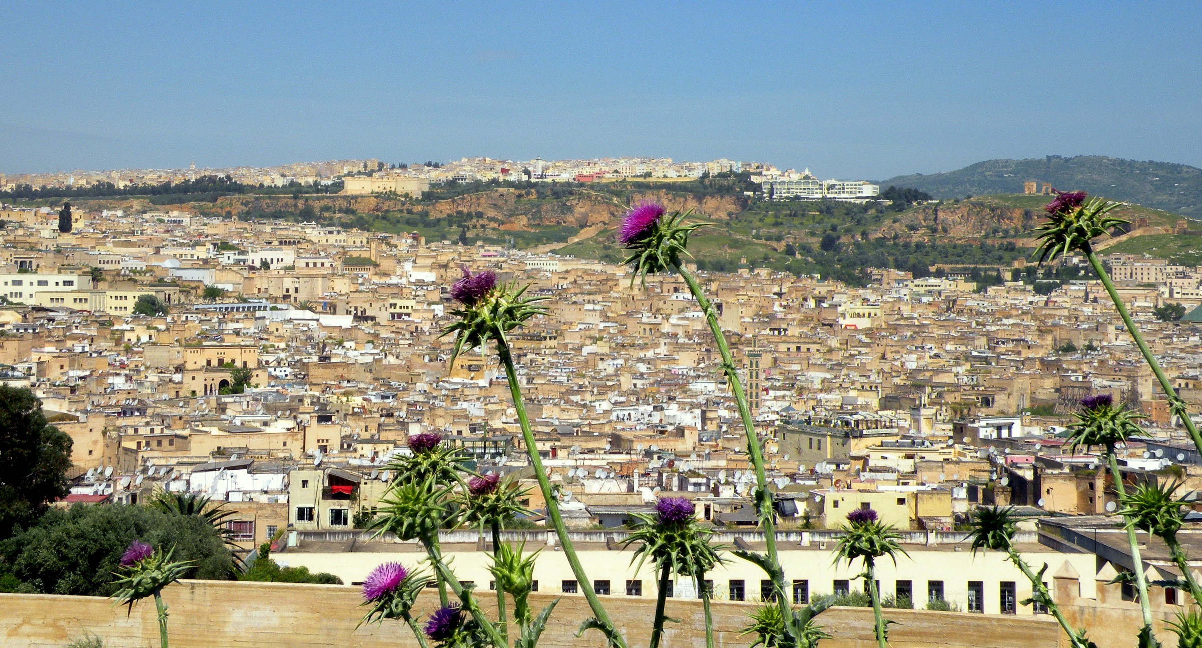 Panorama di Fez