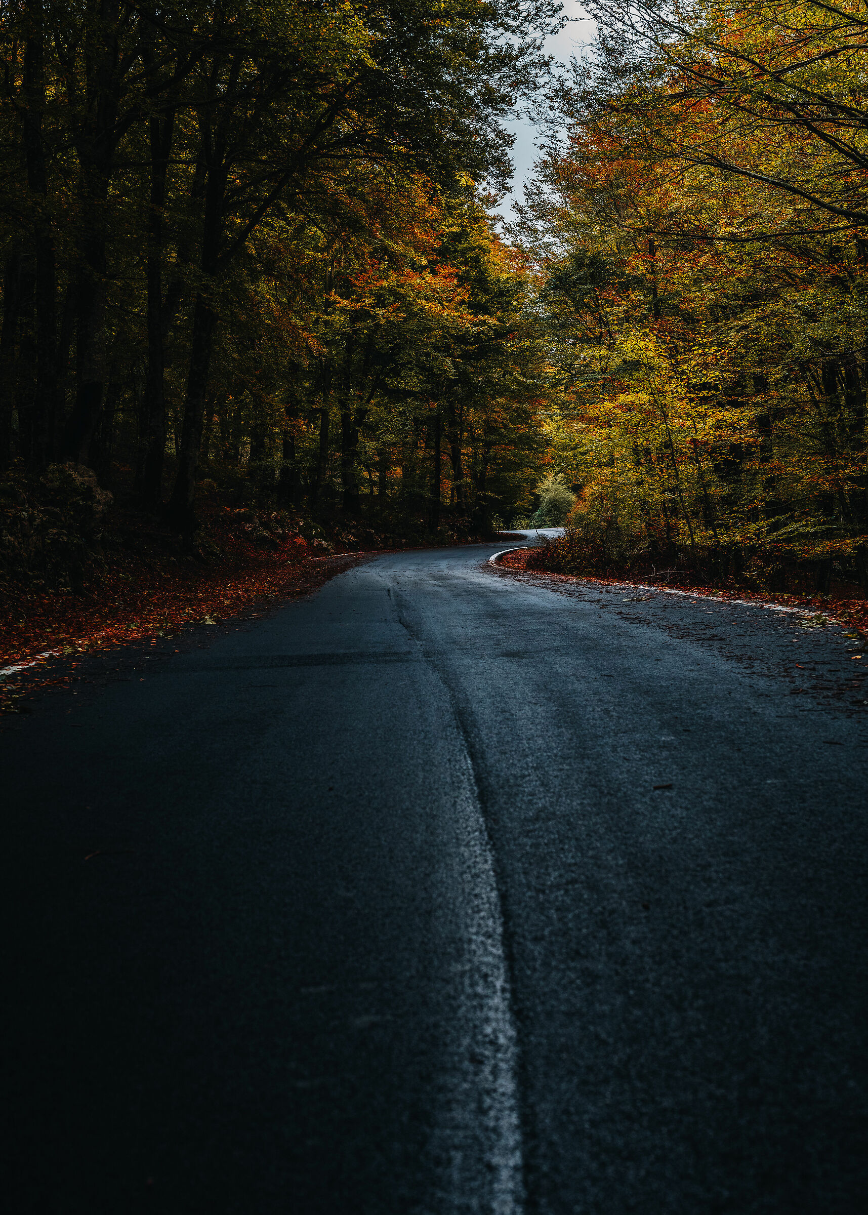La strada verso l'autunno
