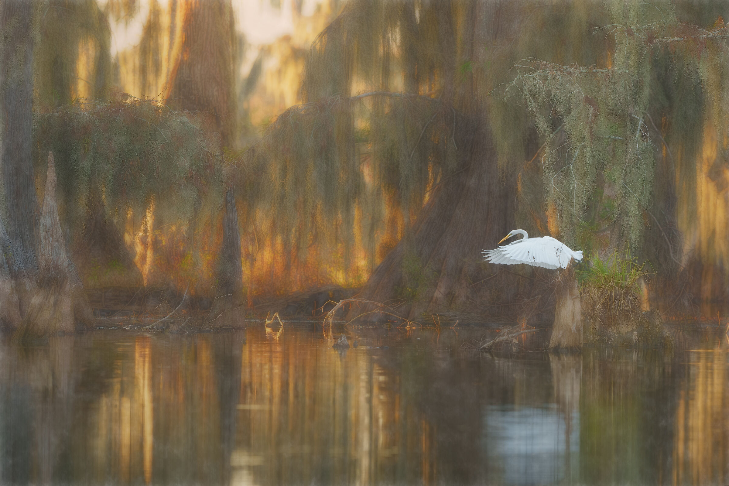 sogno di un mattino di mezzo inverno