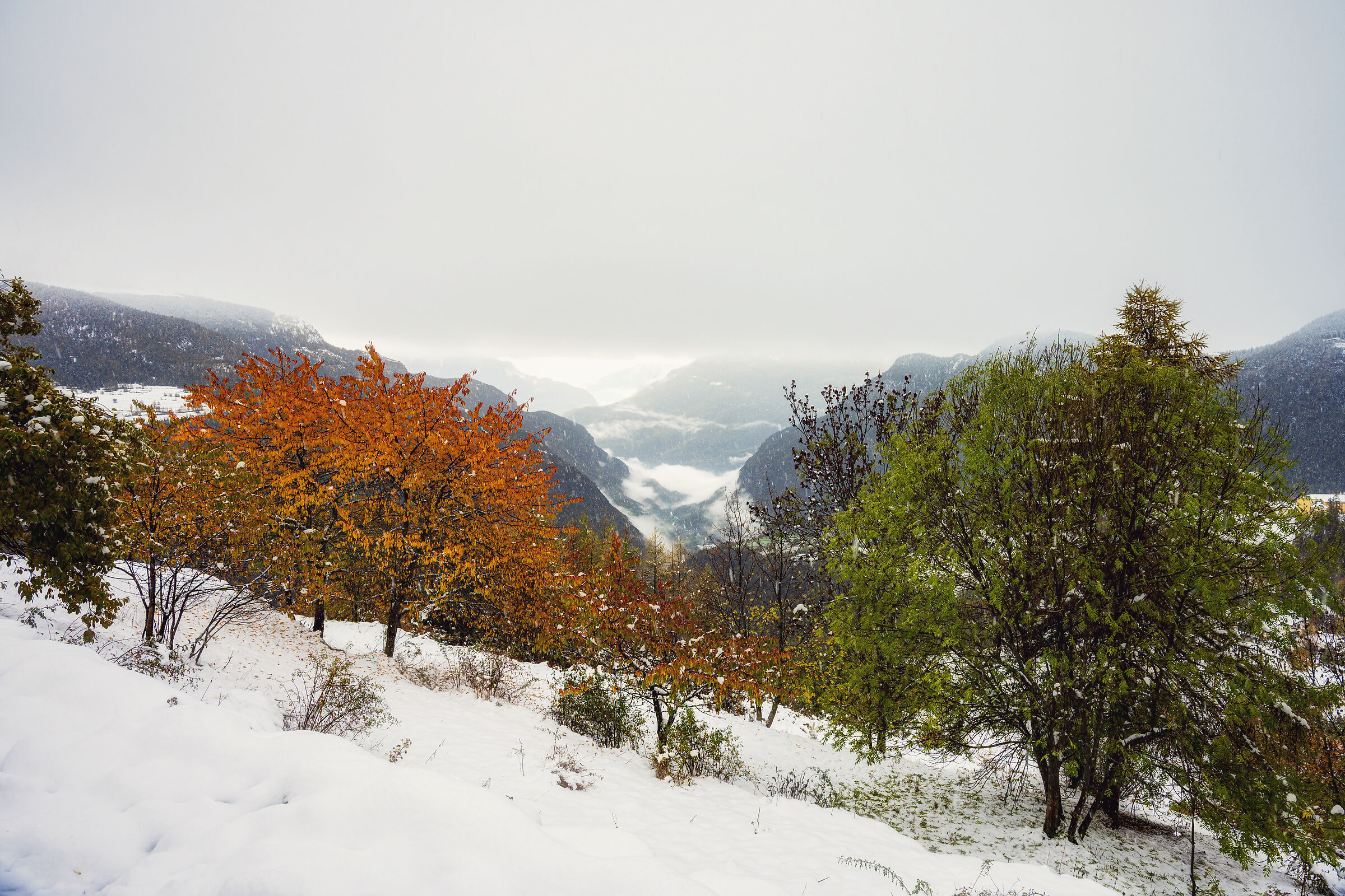 Neve autunnale 2
