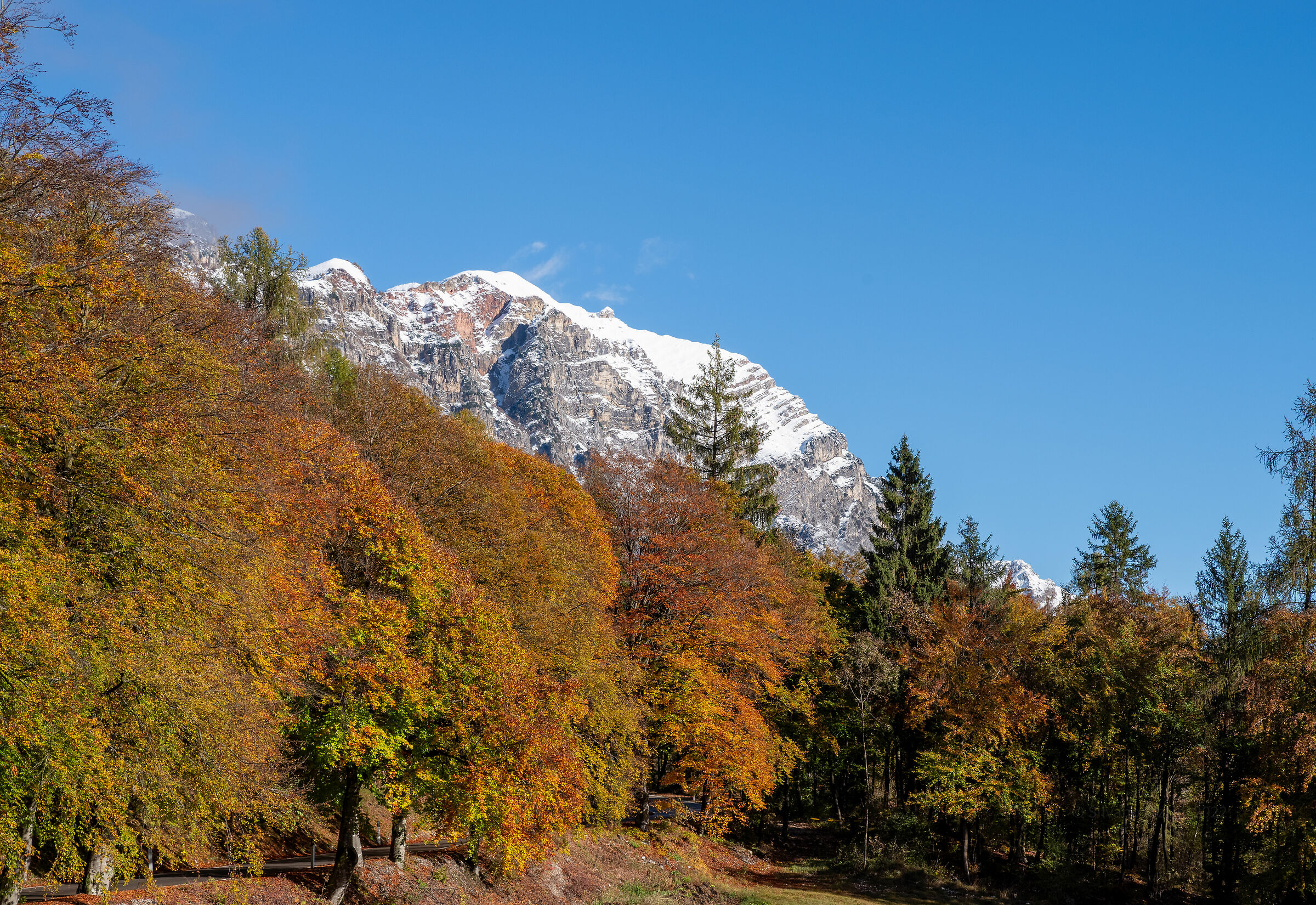 Autumn calm while waiting for events