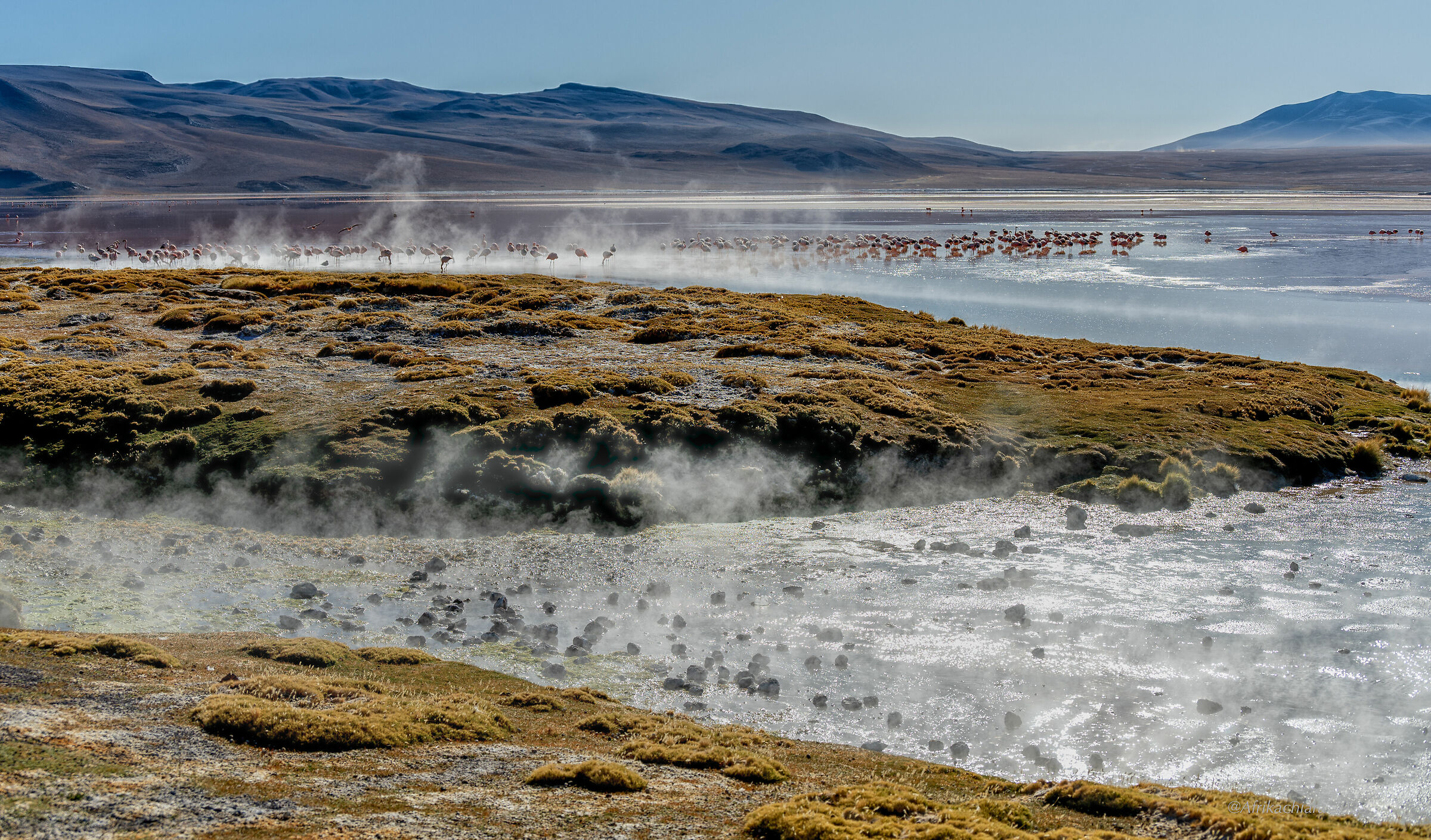 Laguna Colorada