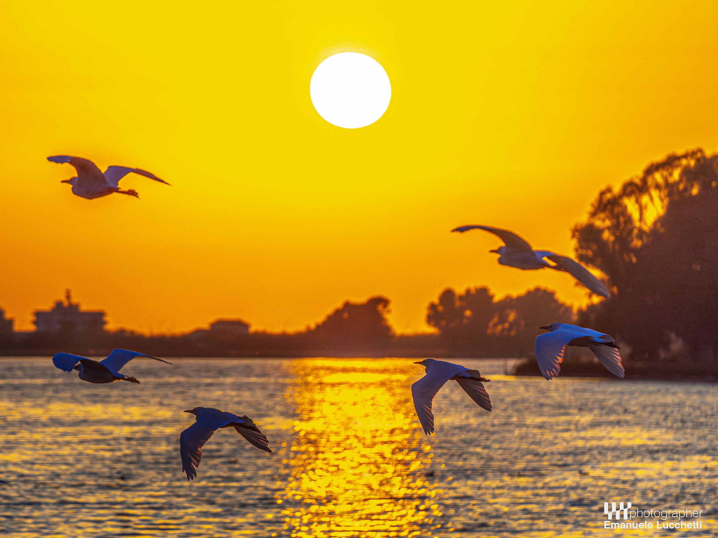 Tramonto sul Lago di Fogliano (lt)