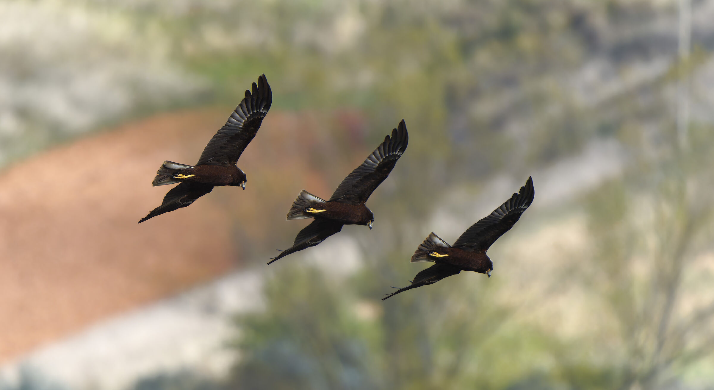 Passaggio a nord-est