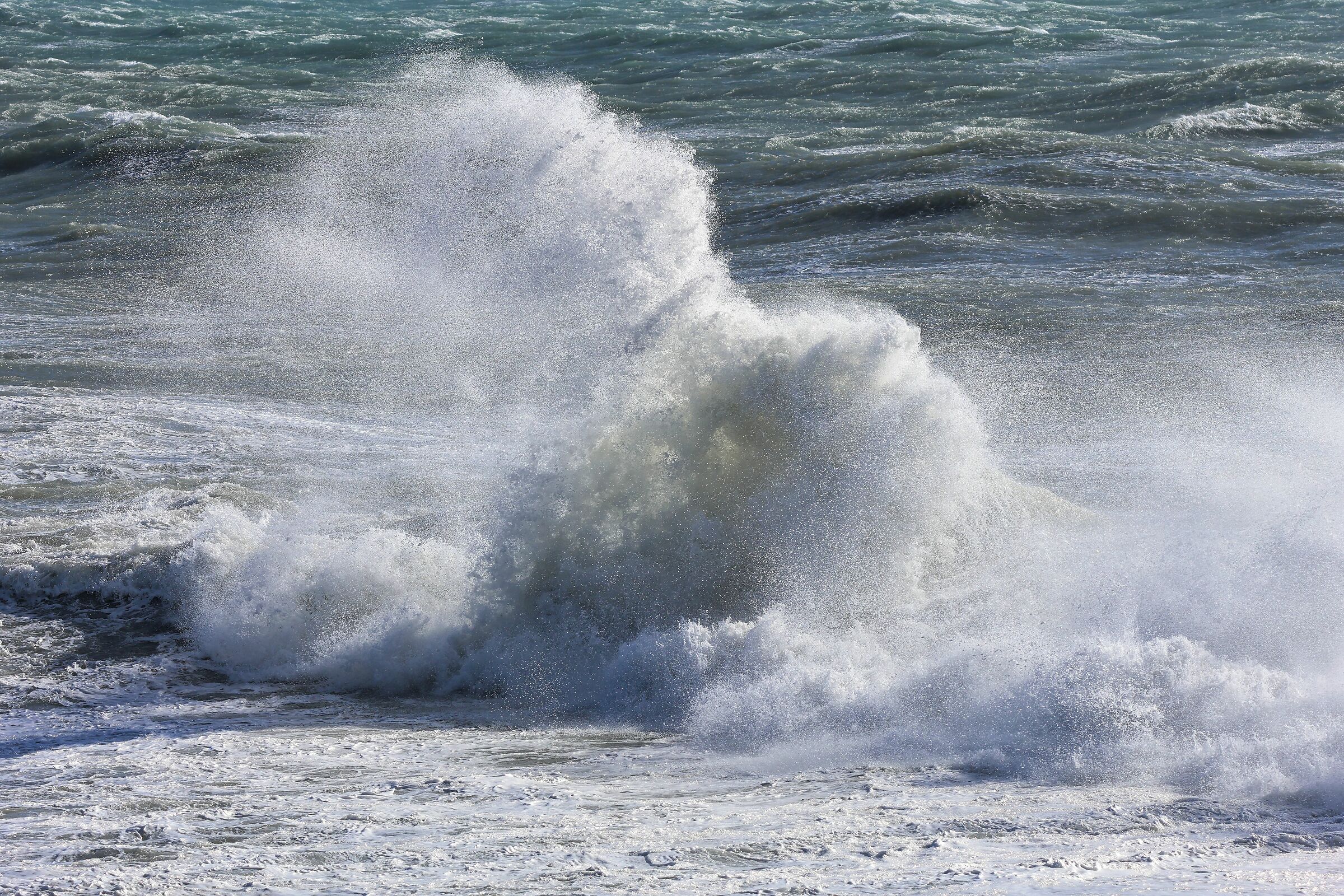 L'onda, e le sue forme