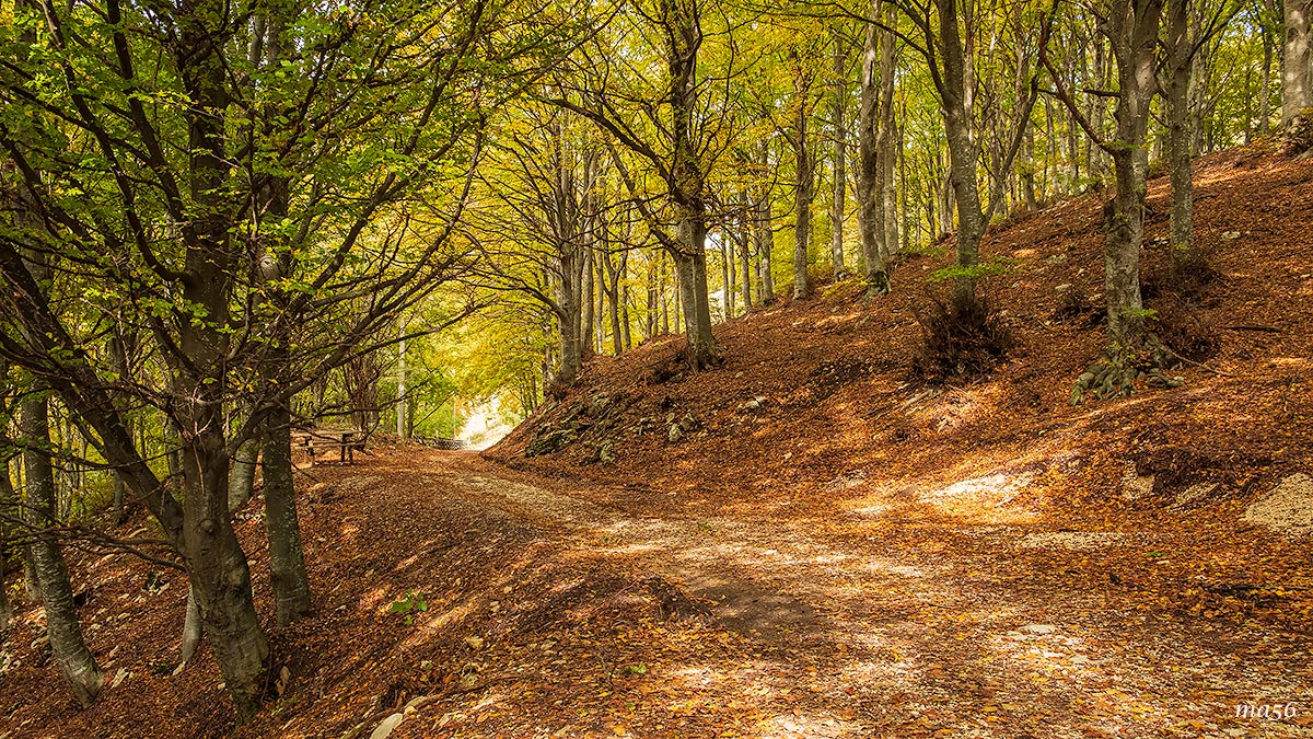 Novezzina - Monte Baldo
