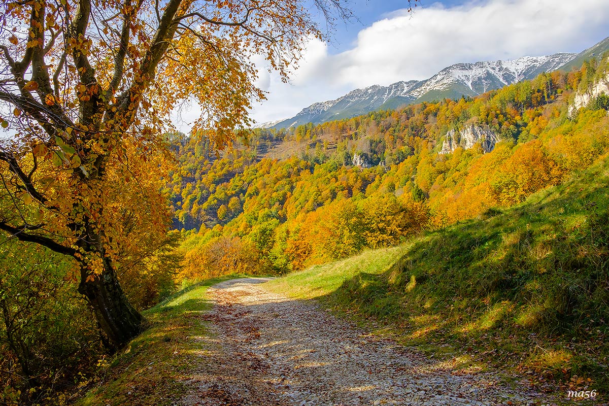 Verso Passo Cerbiolo